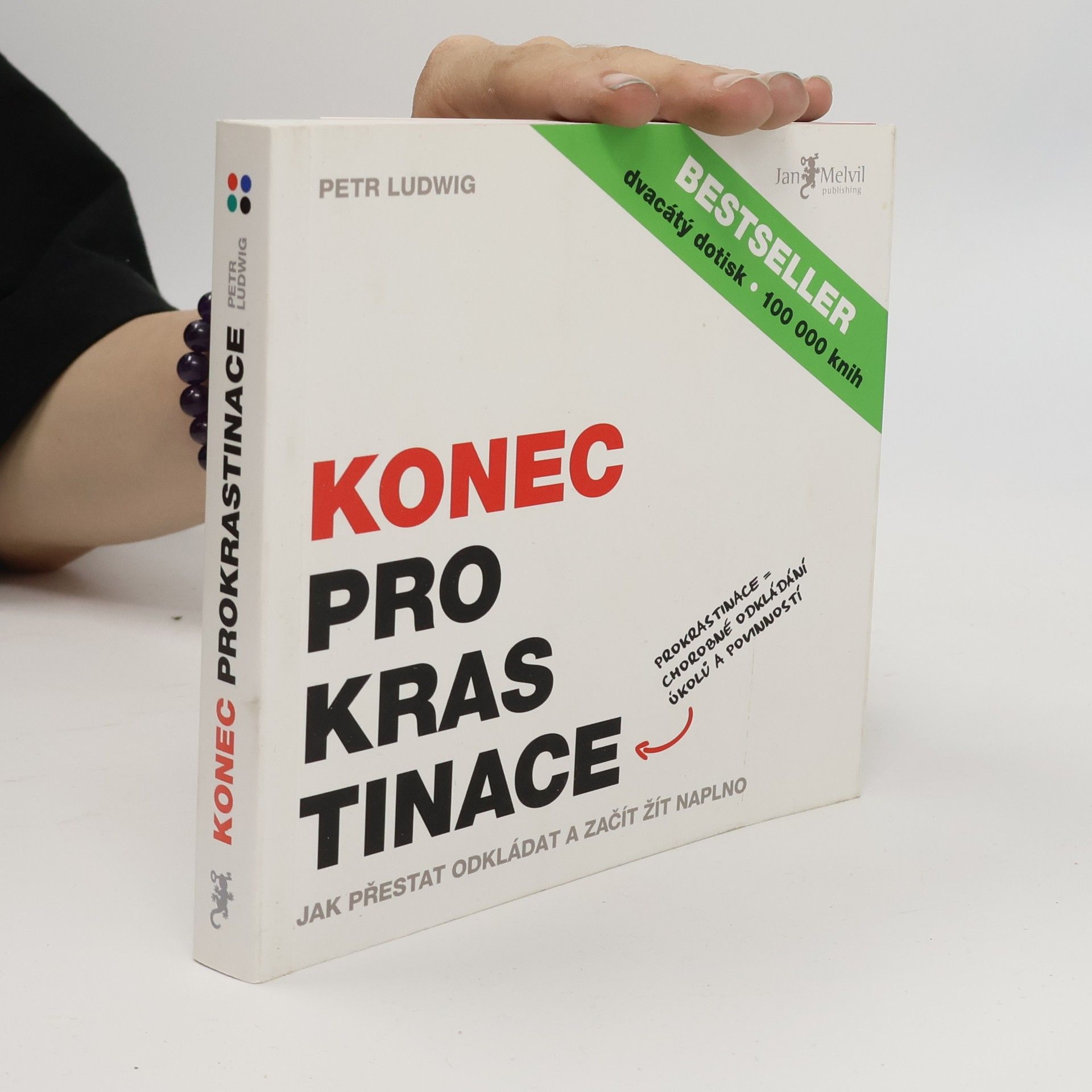 Petr Ludwig Konec prokrastinace