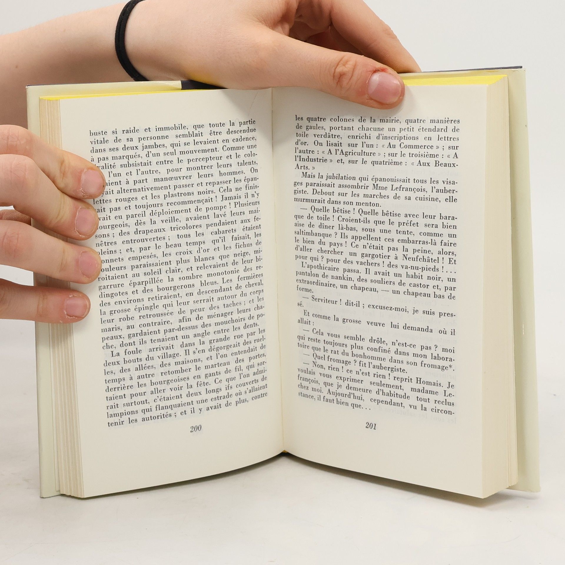 Gustave Flaubert Madame Bovary