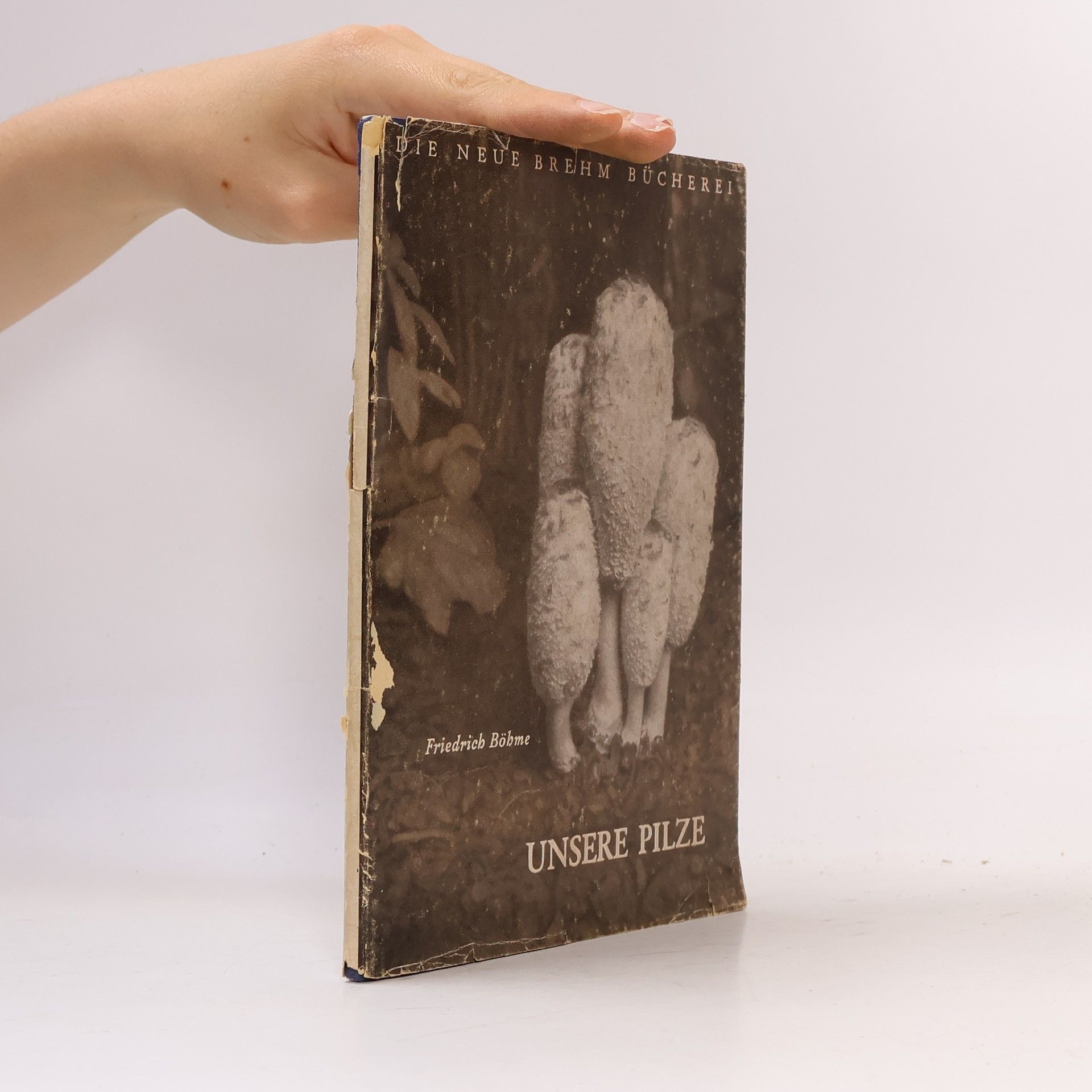Friedrich Böhme Die Neue Brehm-Bücherei. Unsere Pilze