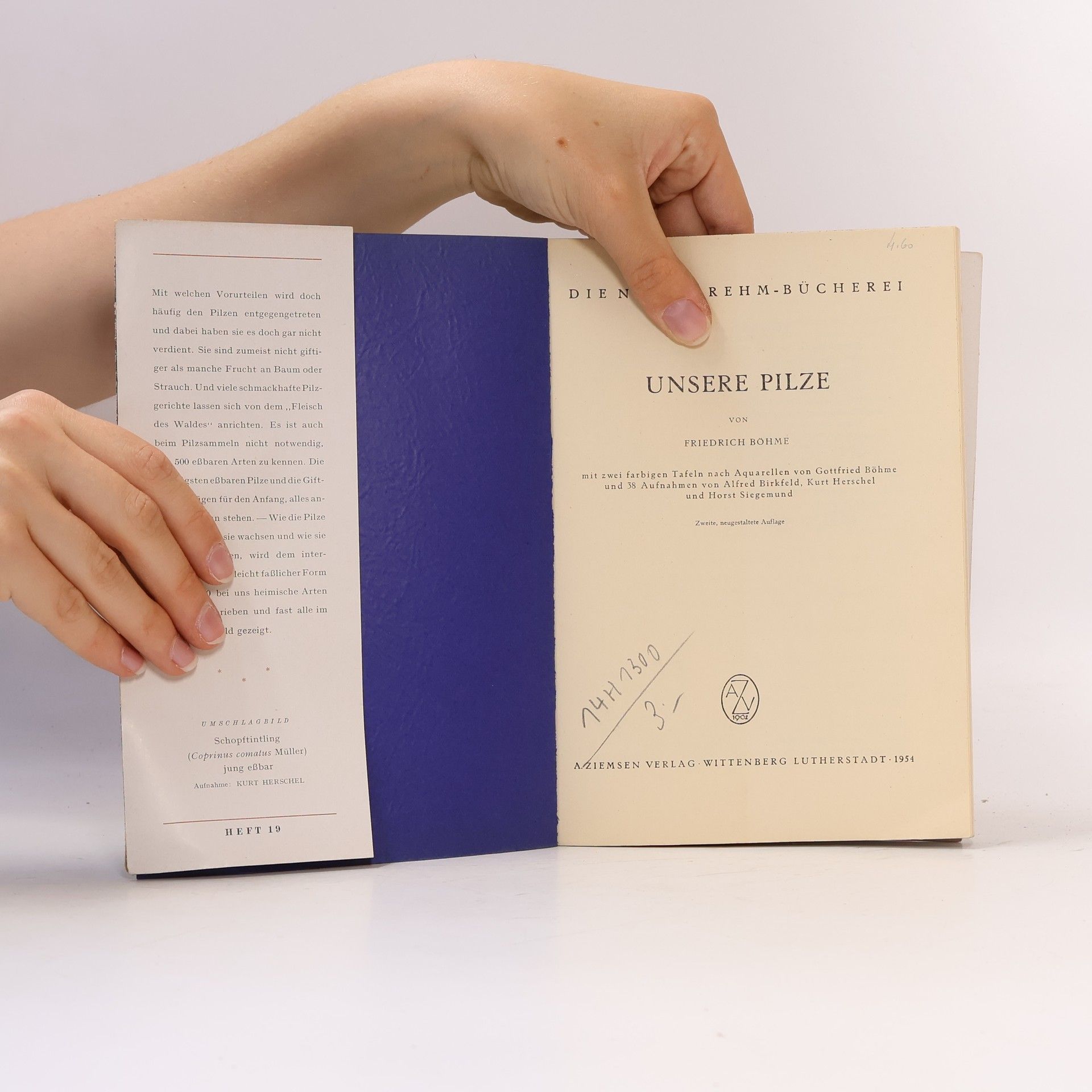 Friedrich Böhme Die Neue Brehm-Bücherei. Unsere Pilze