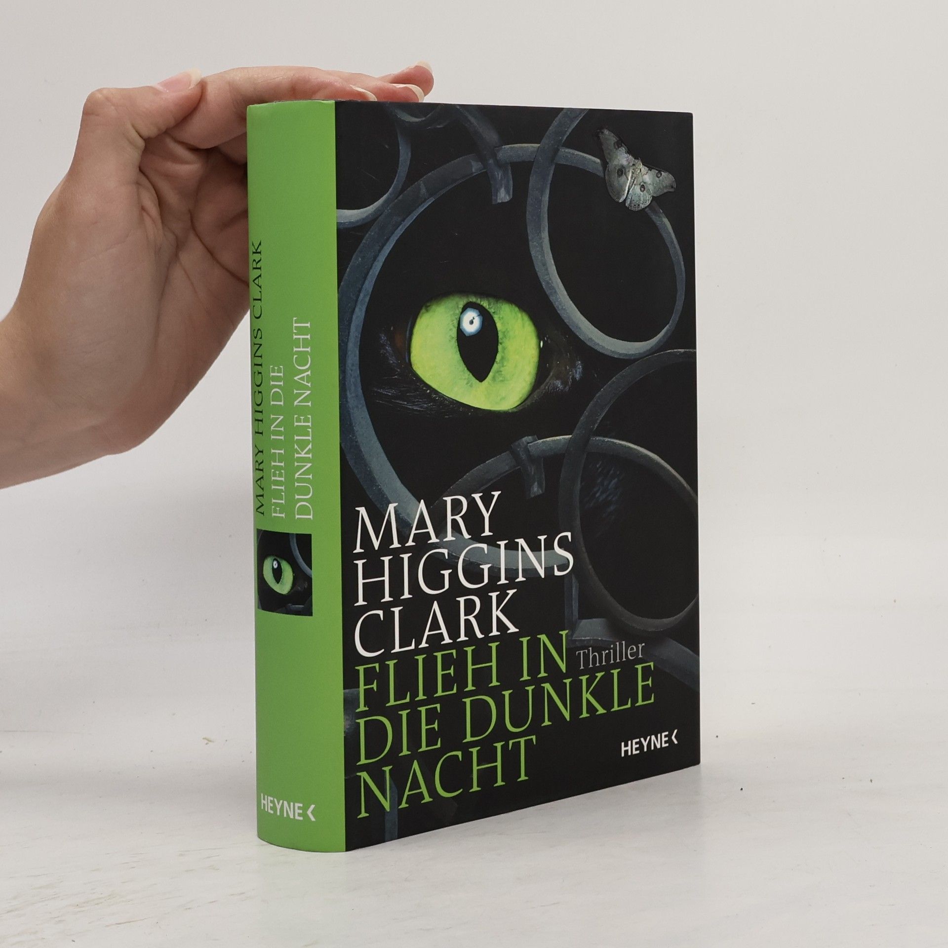 Mary Higgins Clark Flieh in die dunkle Nacht