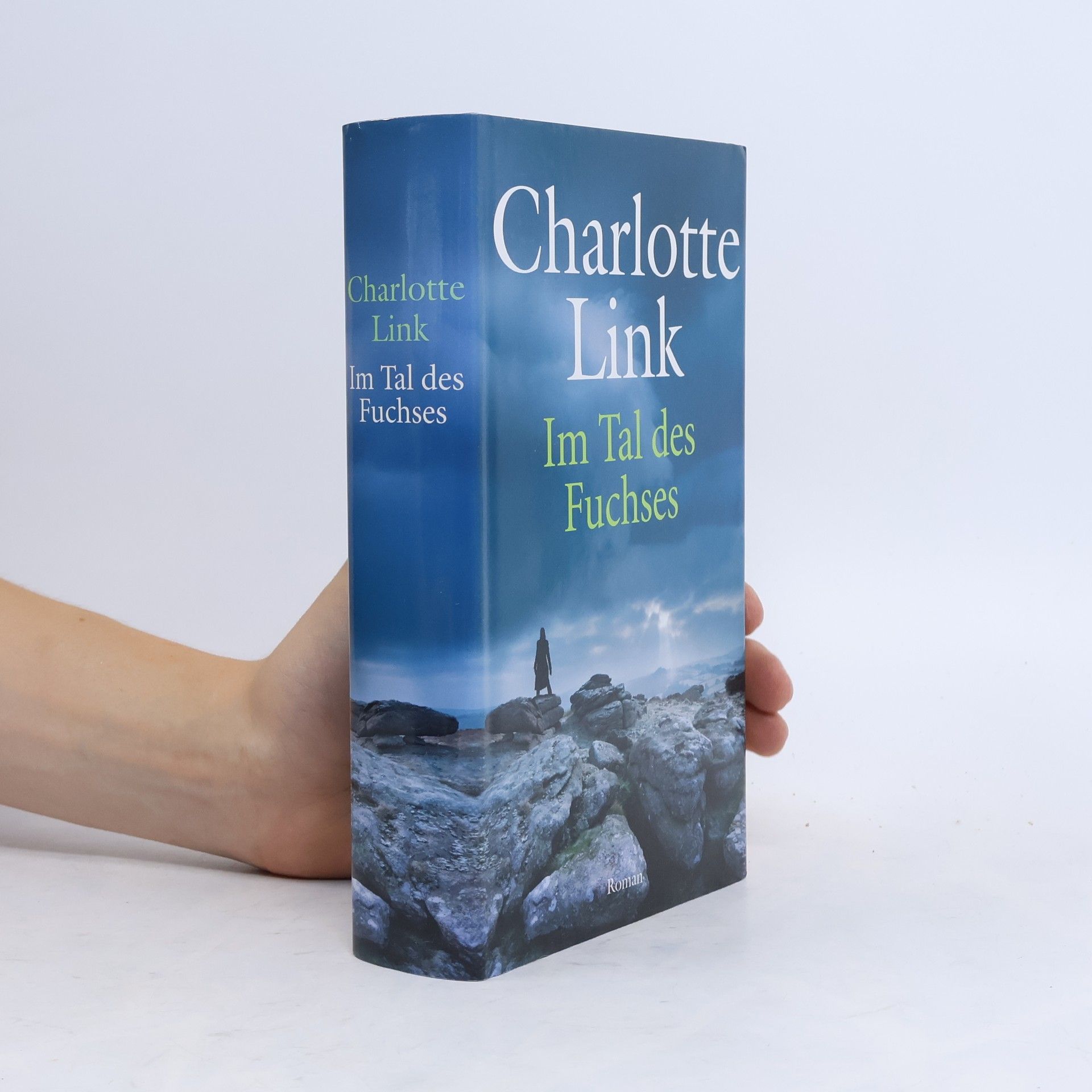 Charlotte Link Im Tal des Fuchses