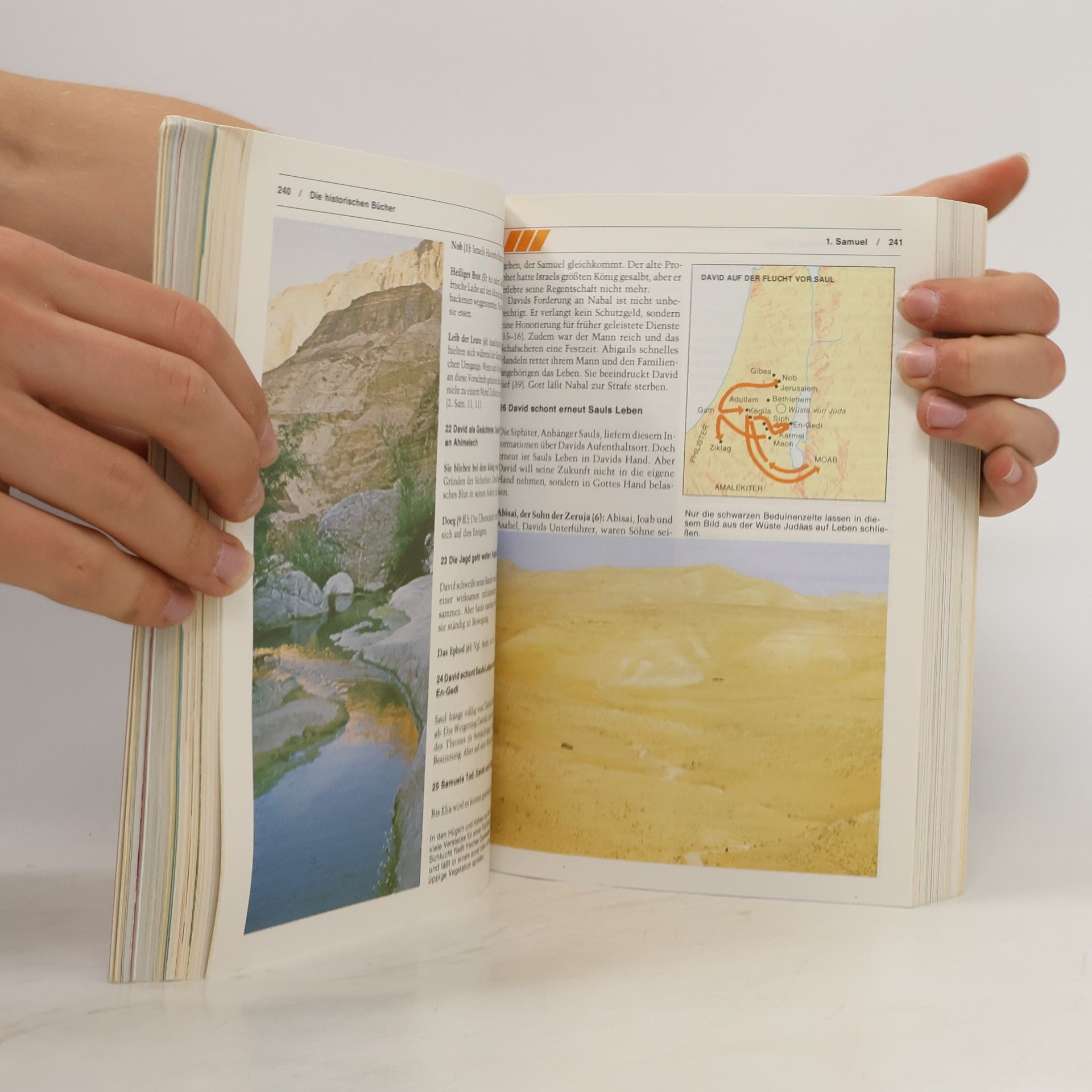 Pat Alexander Handbuch zur Bibel