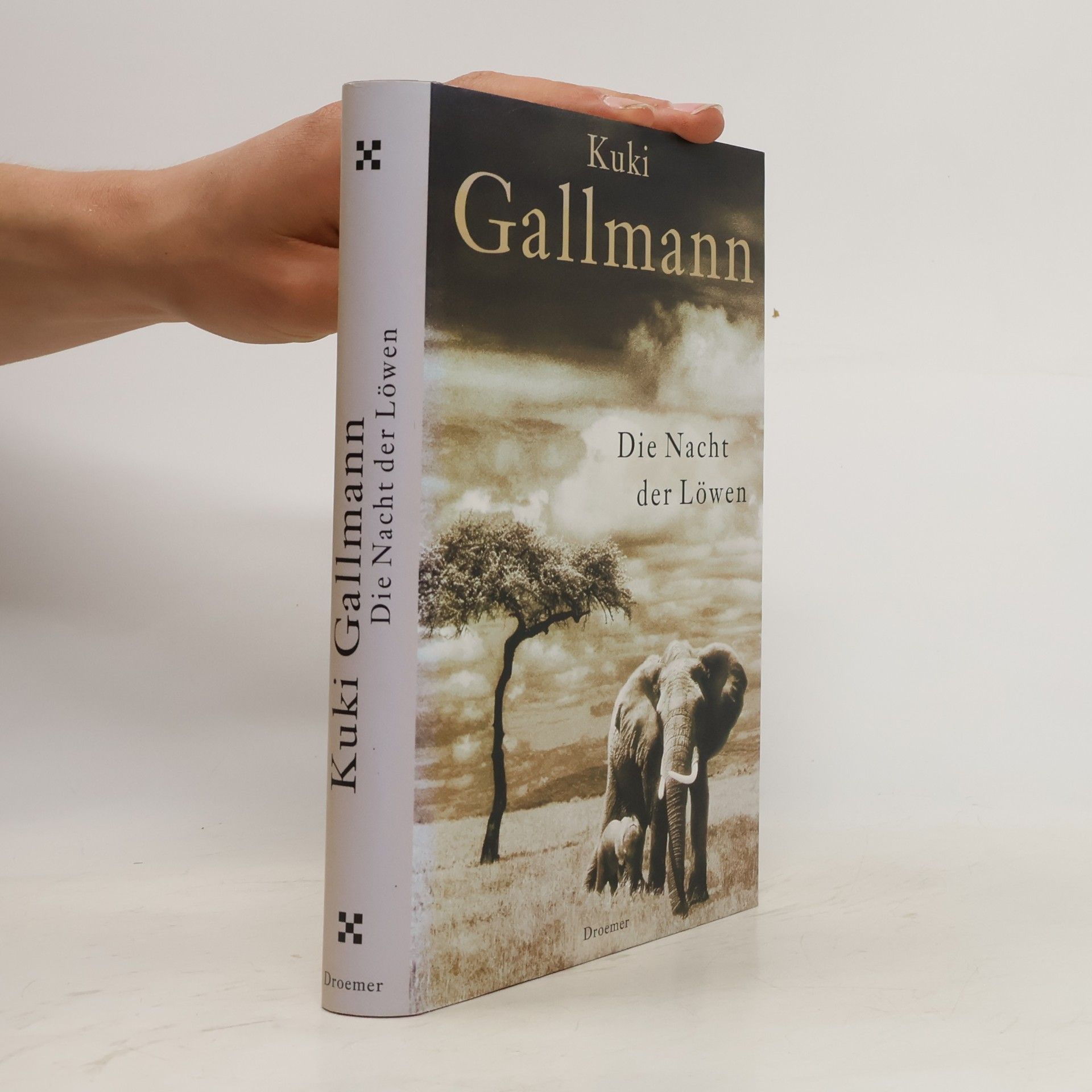 Kuki Gallmann Die Nacht der Löwen