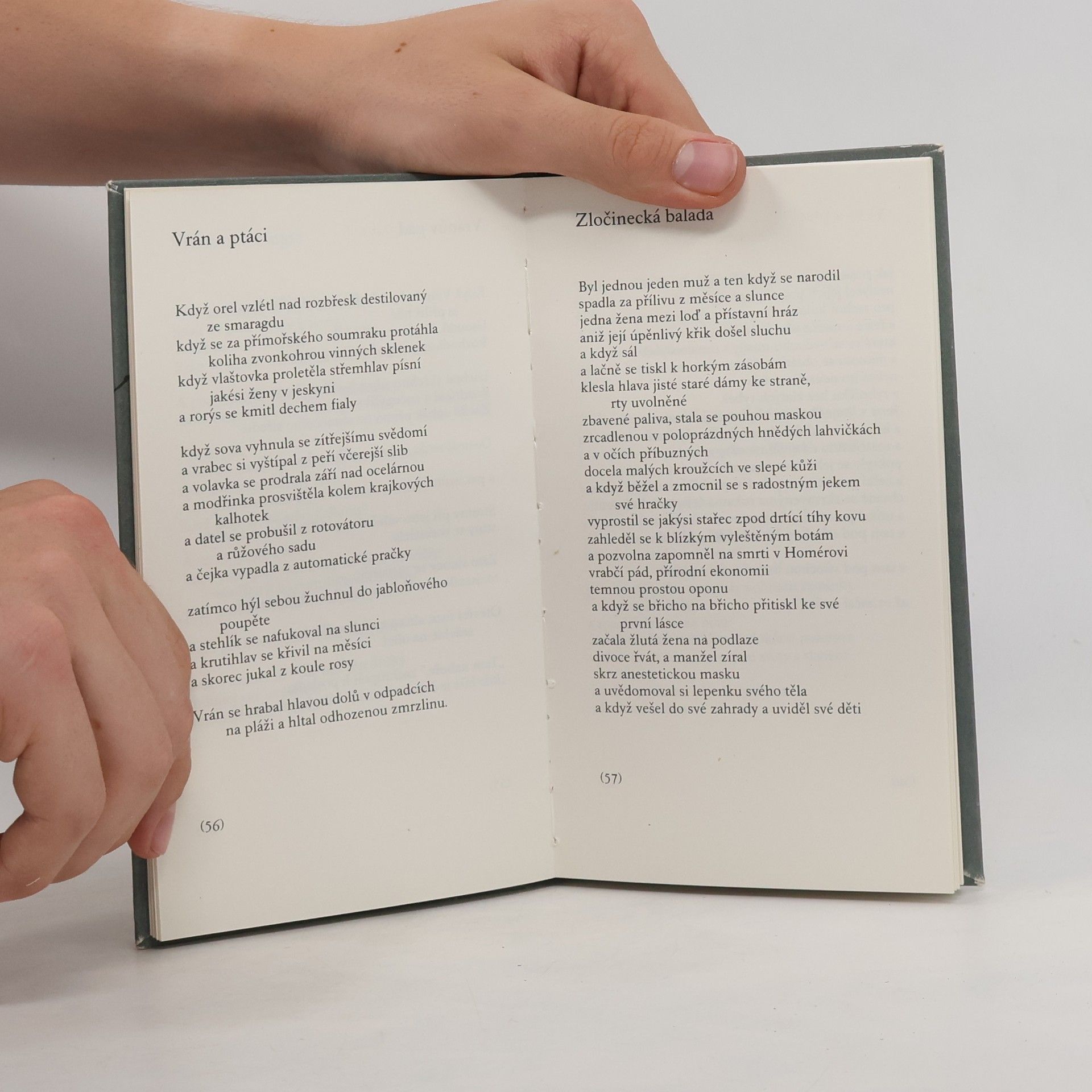 Ted Hughes Jeskynní ptáci