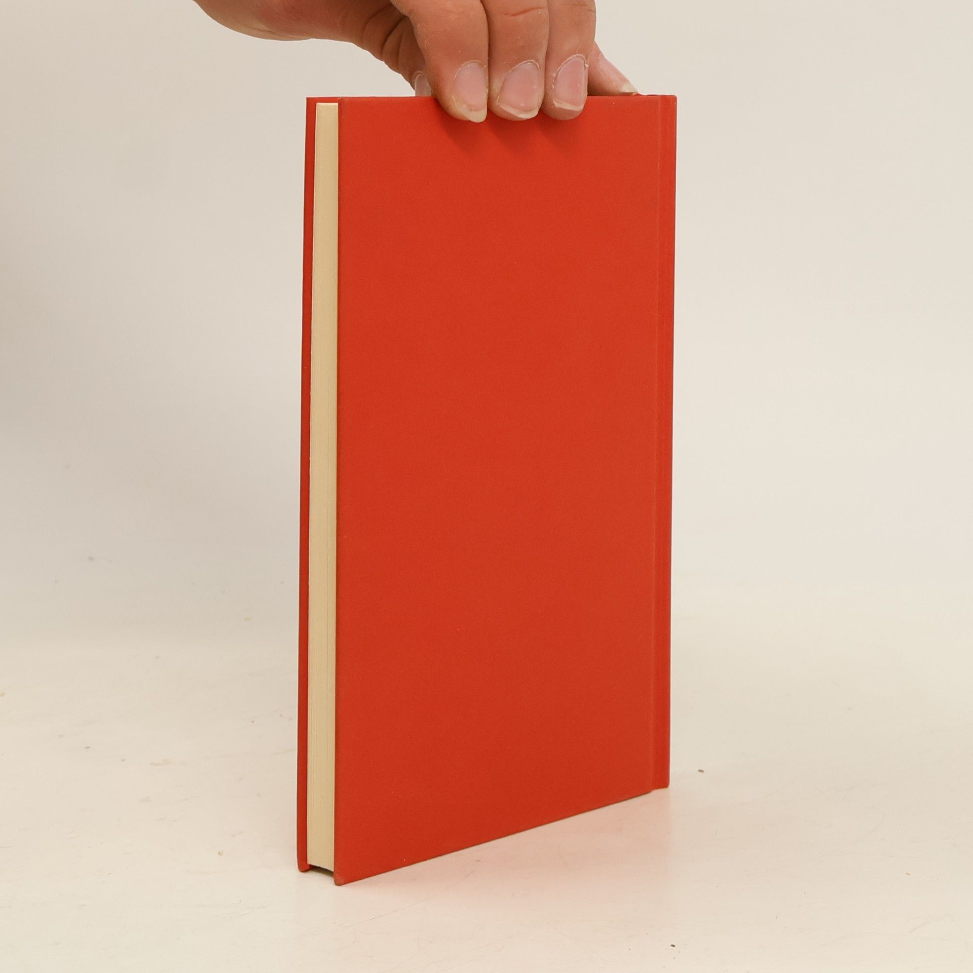 Gesine Dammel Insel Taschenbuch: Die schönsten Weihnachtsgeschichten