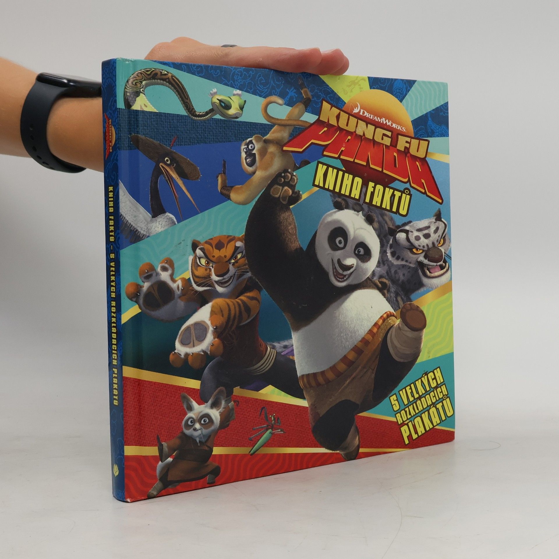 Dagmar Brejlová Kung Fu Panda : kniha faktů