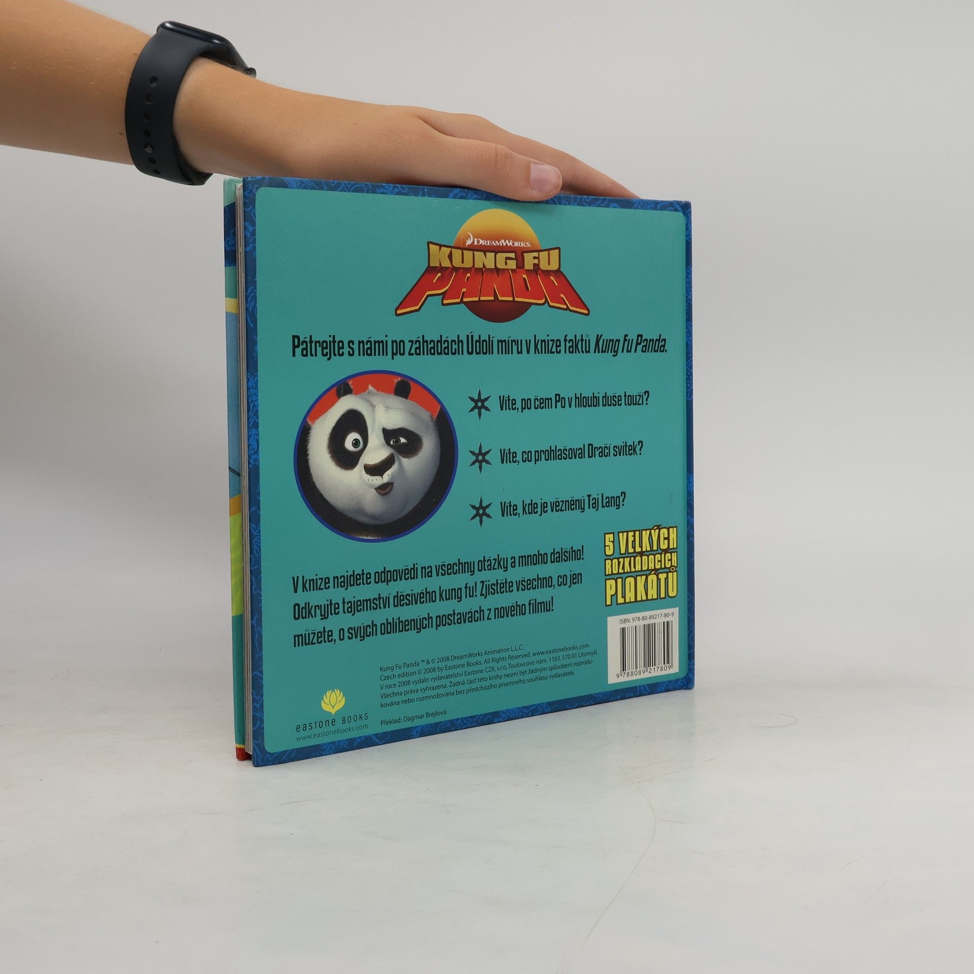 Dagmar Brejlová Kung Fu Panda : kniha faktů