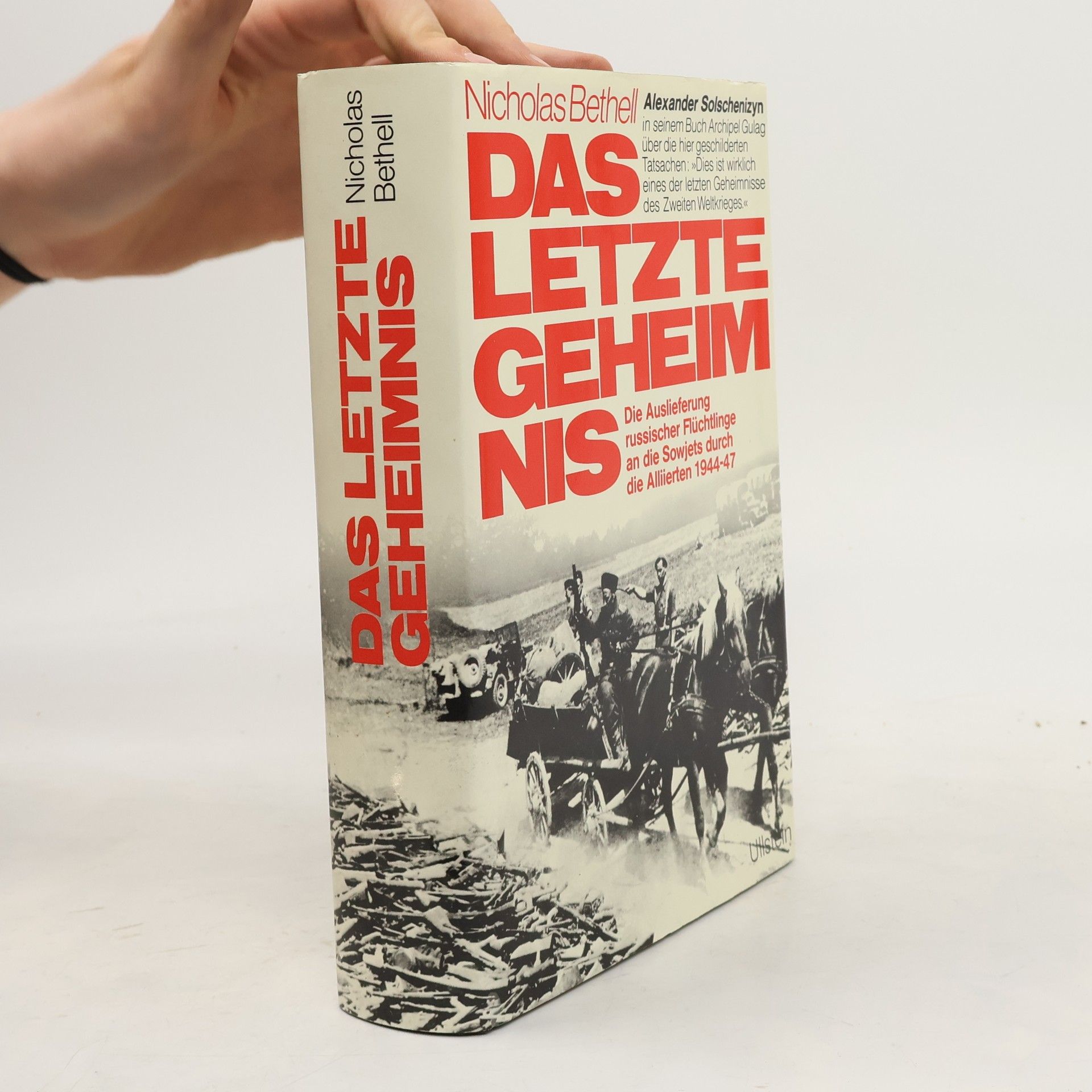 Das letzte Geheimnis