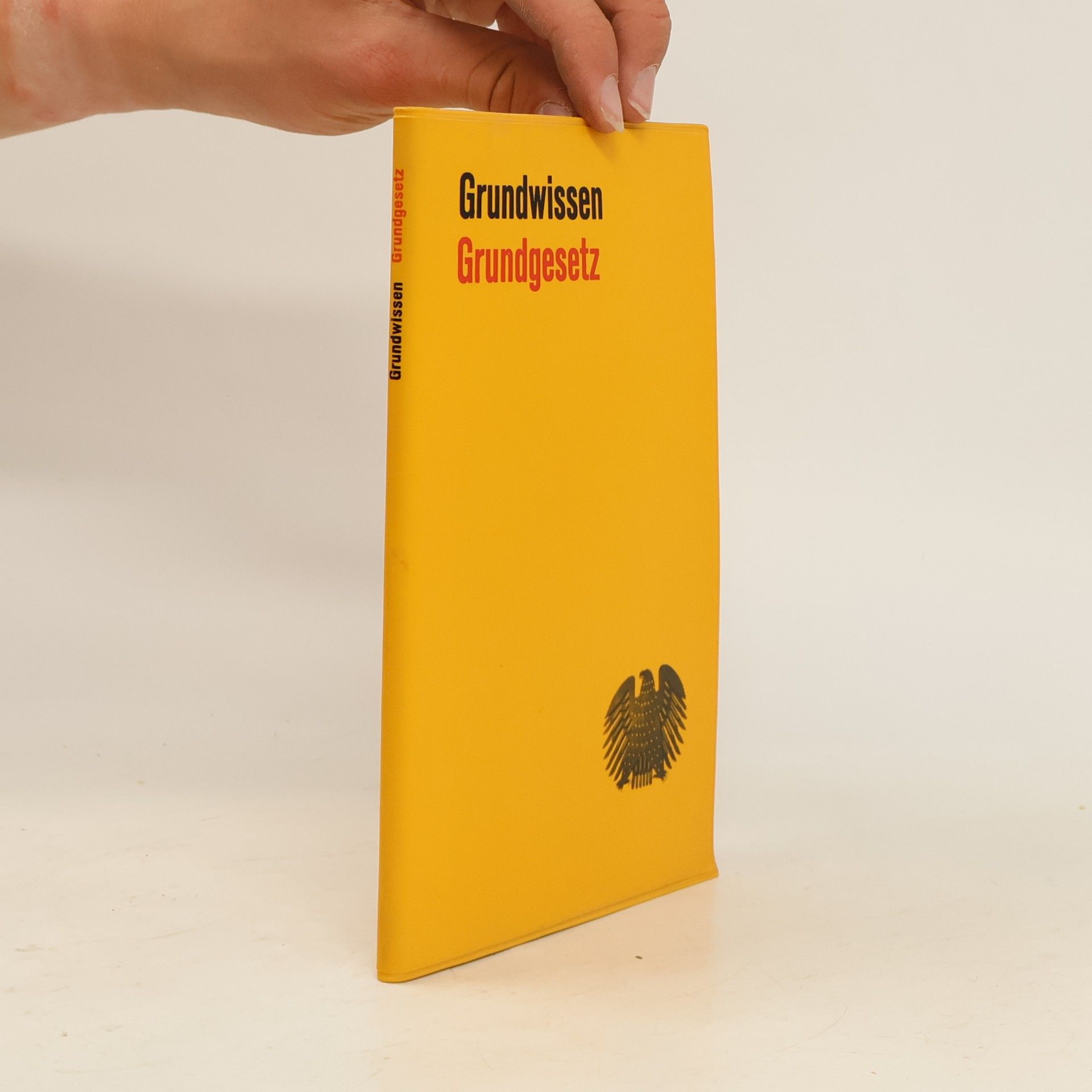 Gerhart Binder Grundwissen Grundgesetz