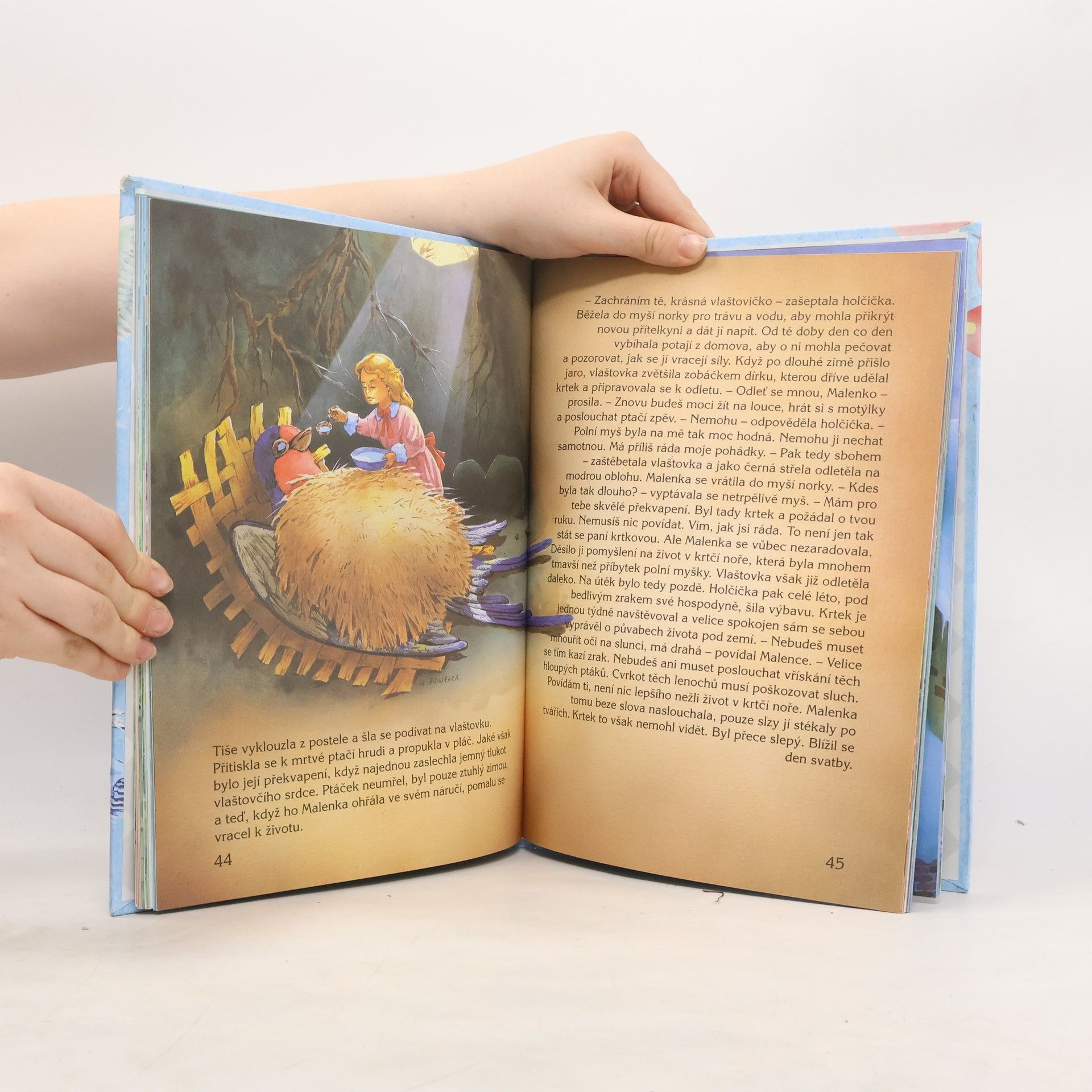 Hans Christian Andersen Nejkrásnější pohádky