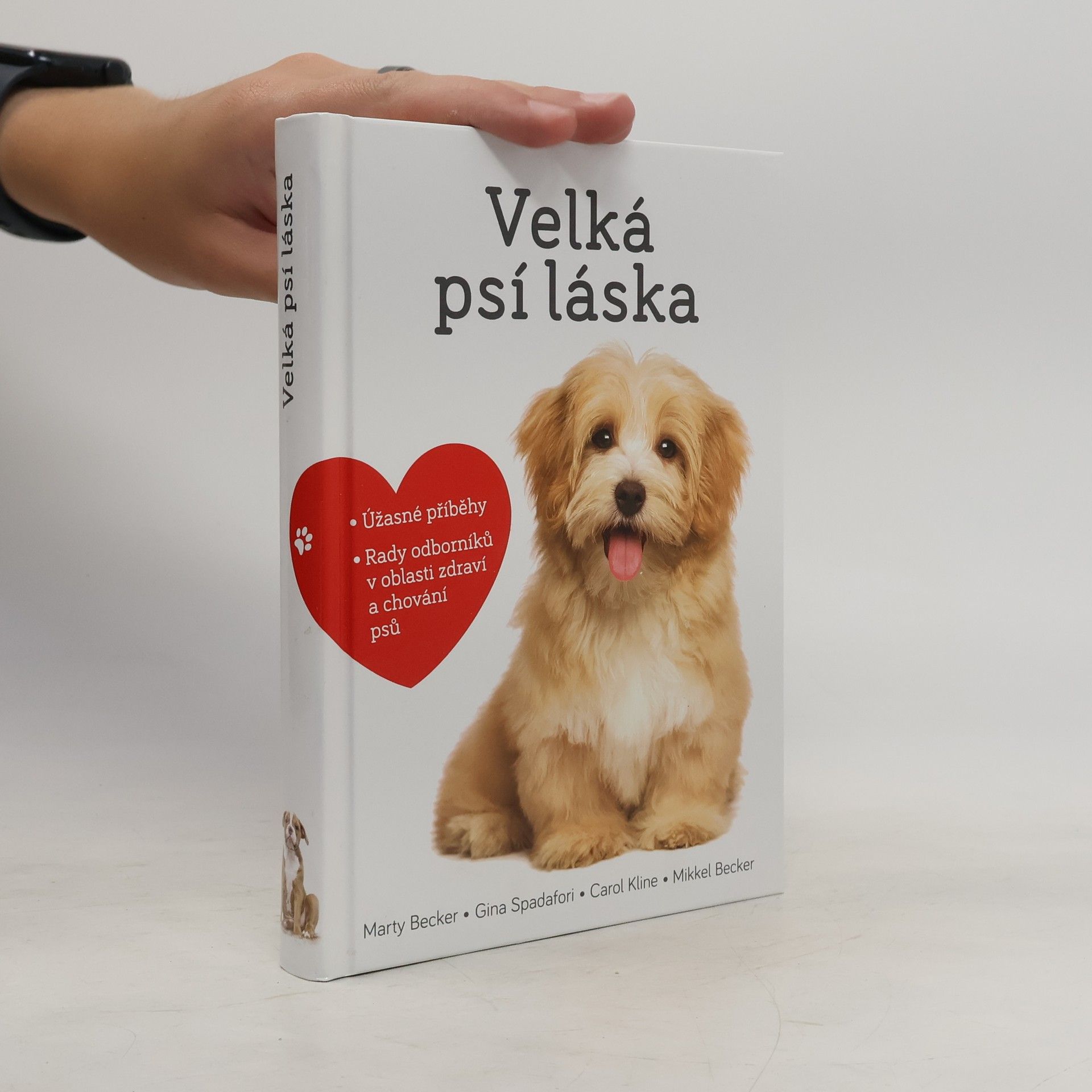 Marty Becker Velká psí láska: Příběhy, rady a úžasné fotografie psích bytostí