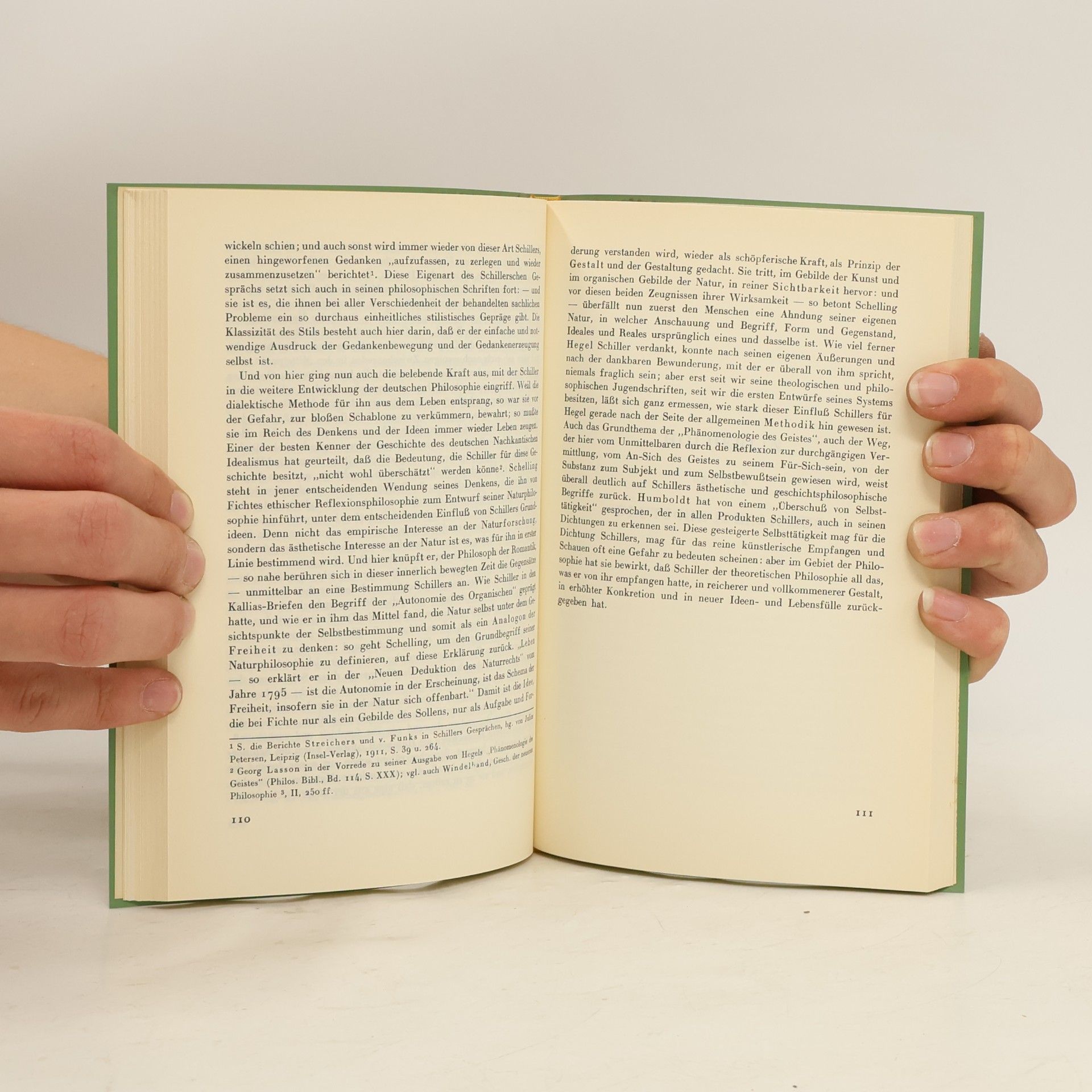 Ernst Cassirer Idee und Gestalt