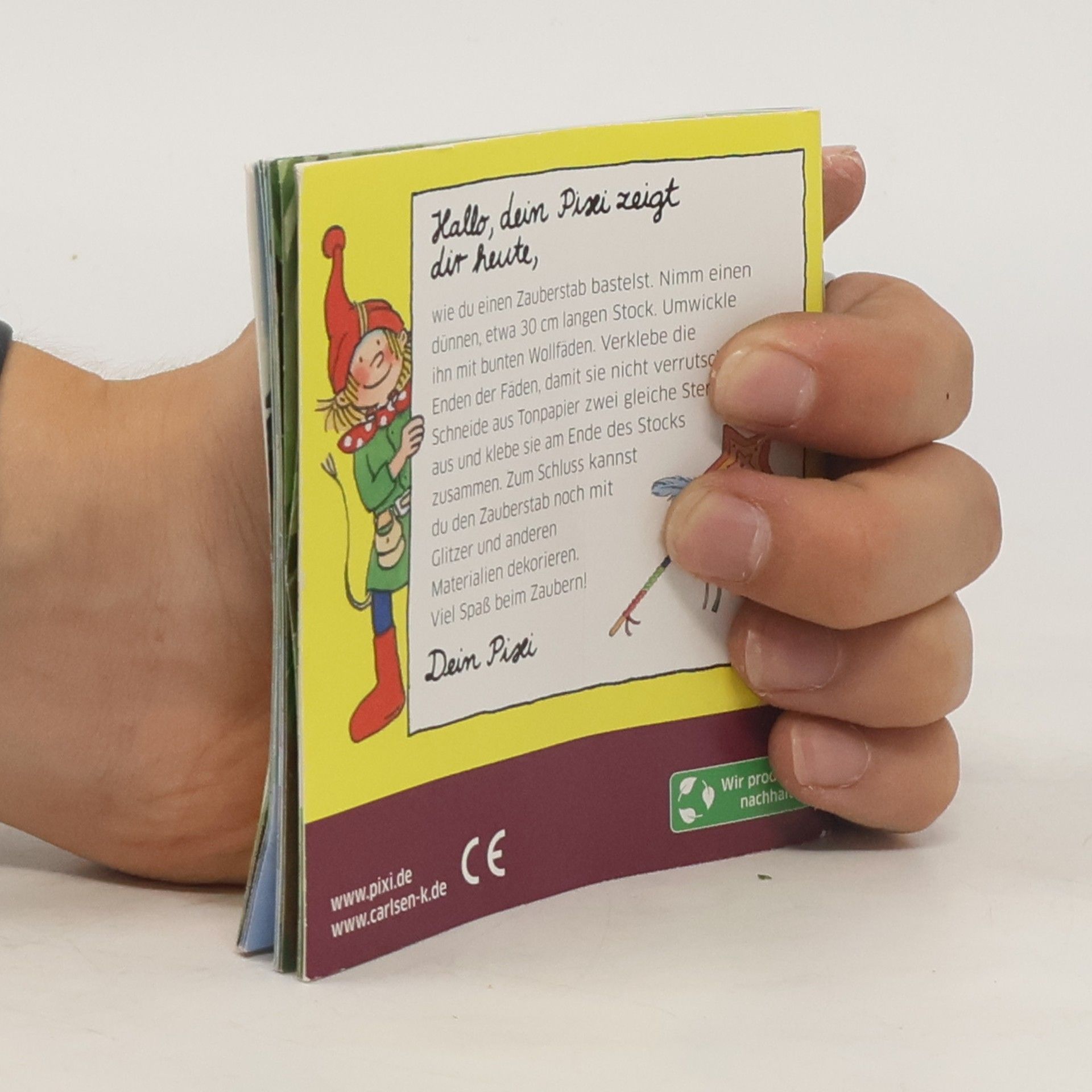 Autorenkollektiv Fanny, Flo und das Schrumpf-Abenteuer