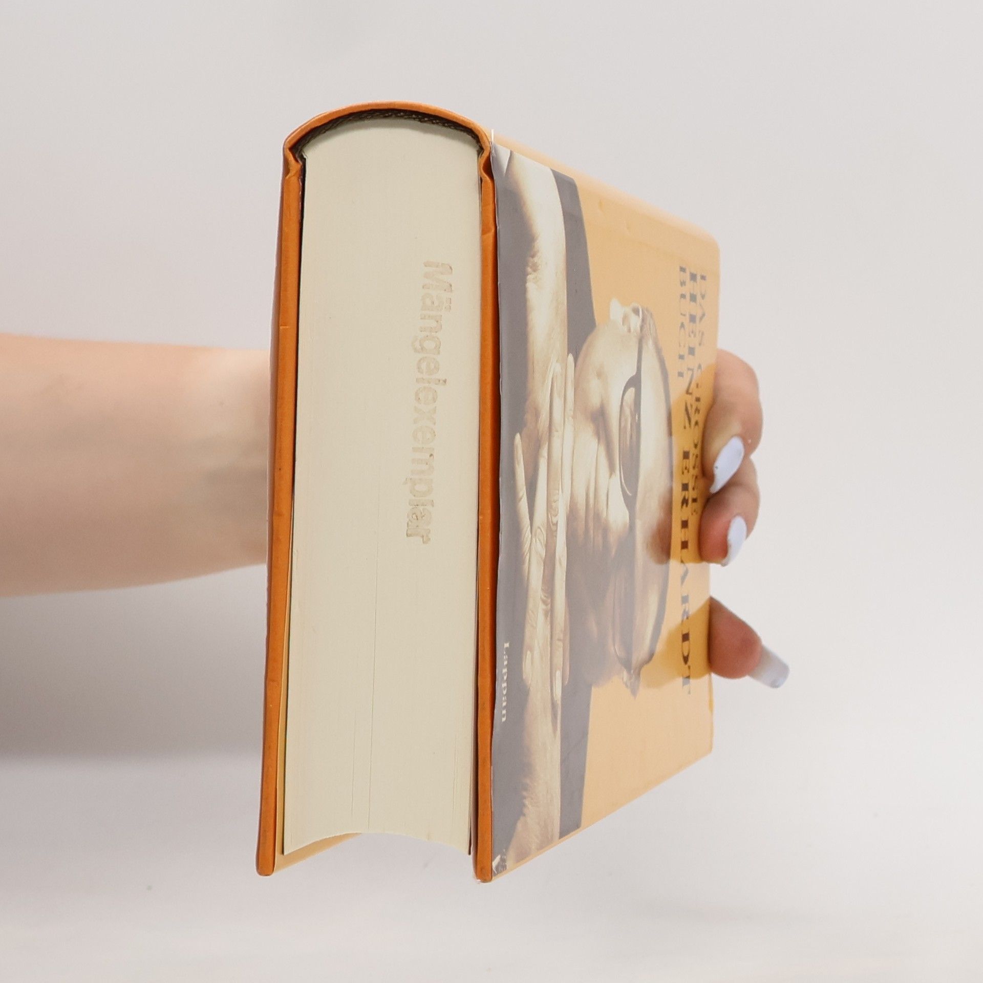 Heinz Erhardt Das grosse Heinz-Erhardt-Buch