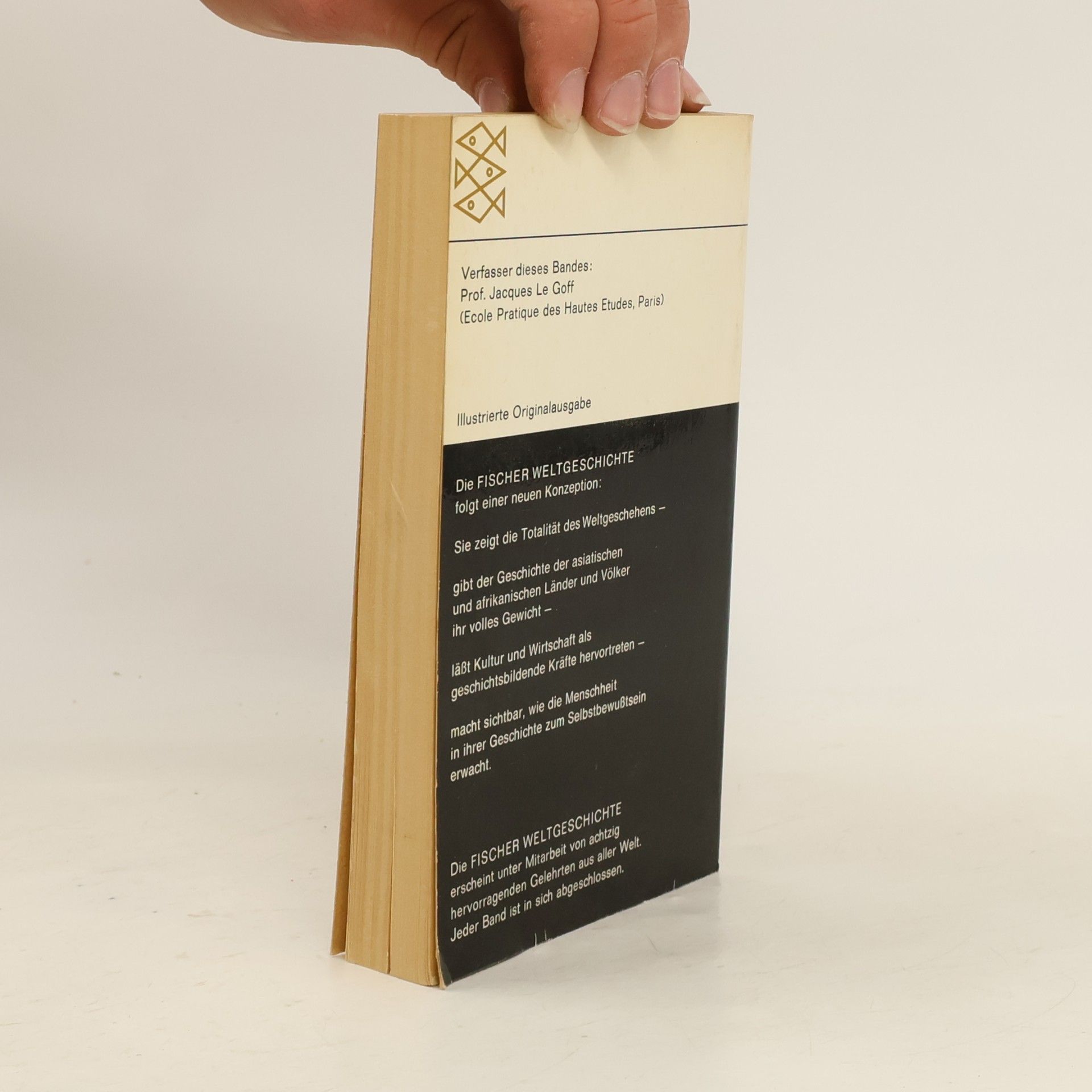 kolektiv Fischer Weltgeschichte 11. Das Hochmittelalter