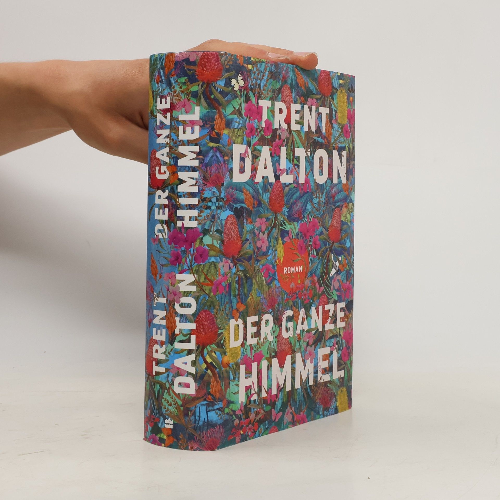 Trent Dalton Der ganze Himmel