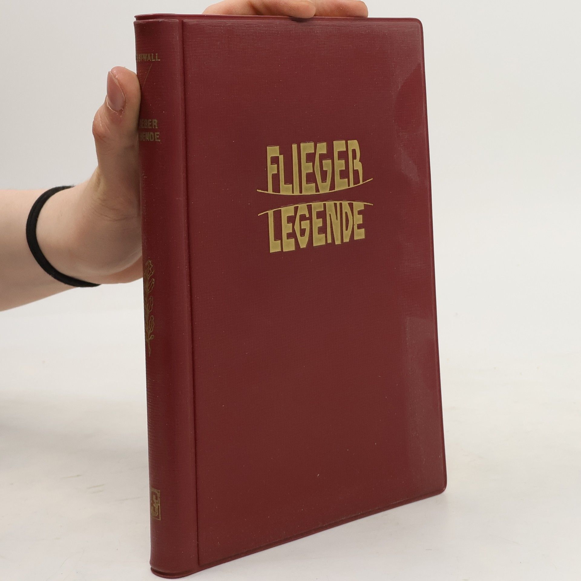 Autorenkollektiv Flieger Legende