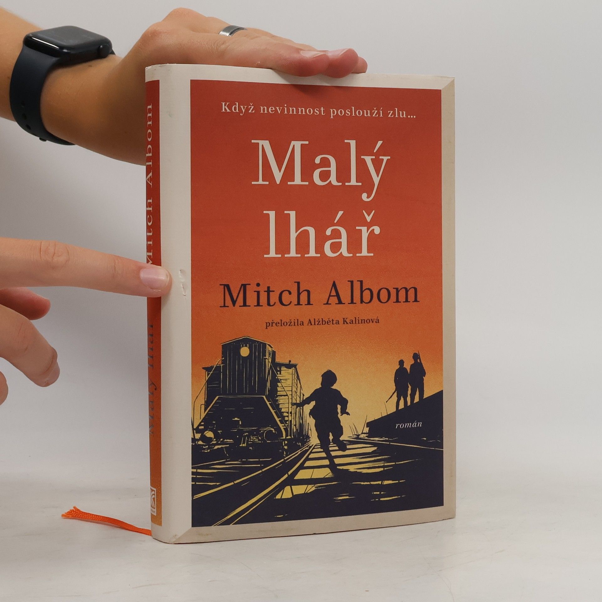 Mitch Albom Malý lhář