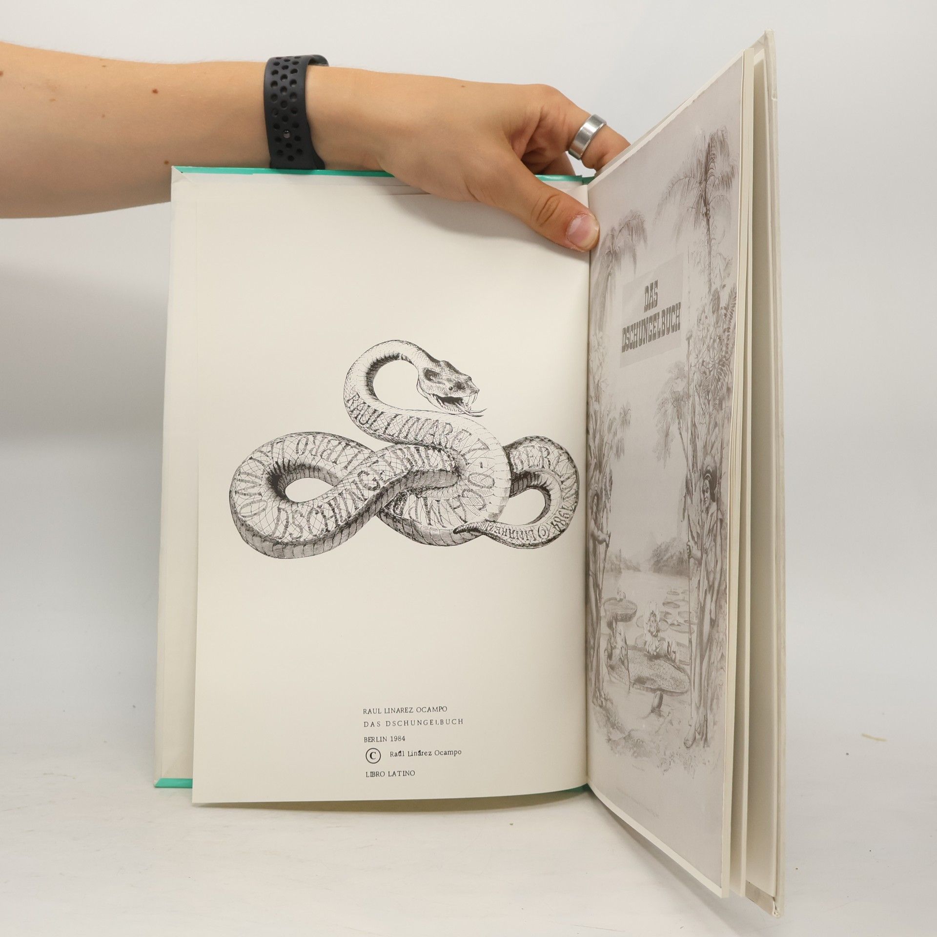 Rudyard Kipling Das Dschungelbuch