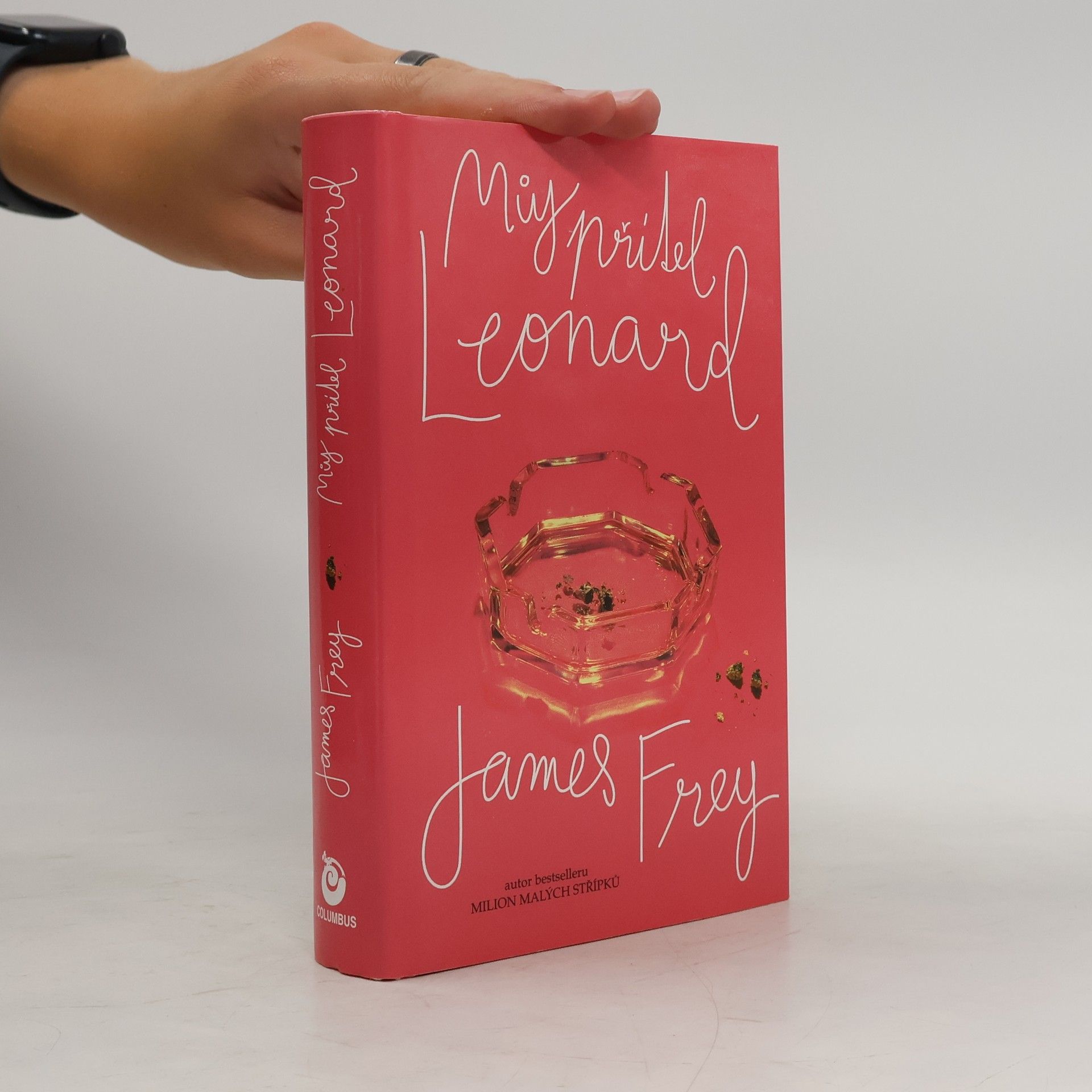 James Frey Můj přítel Leonard