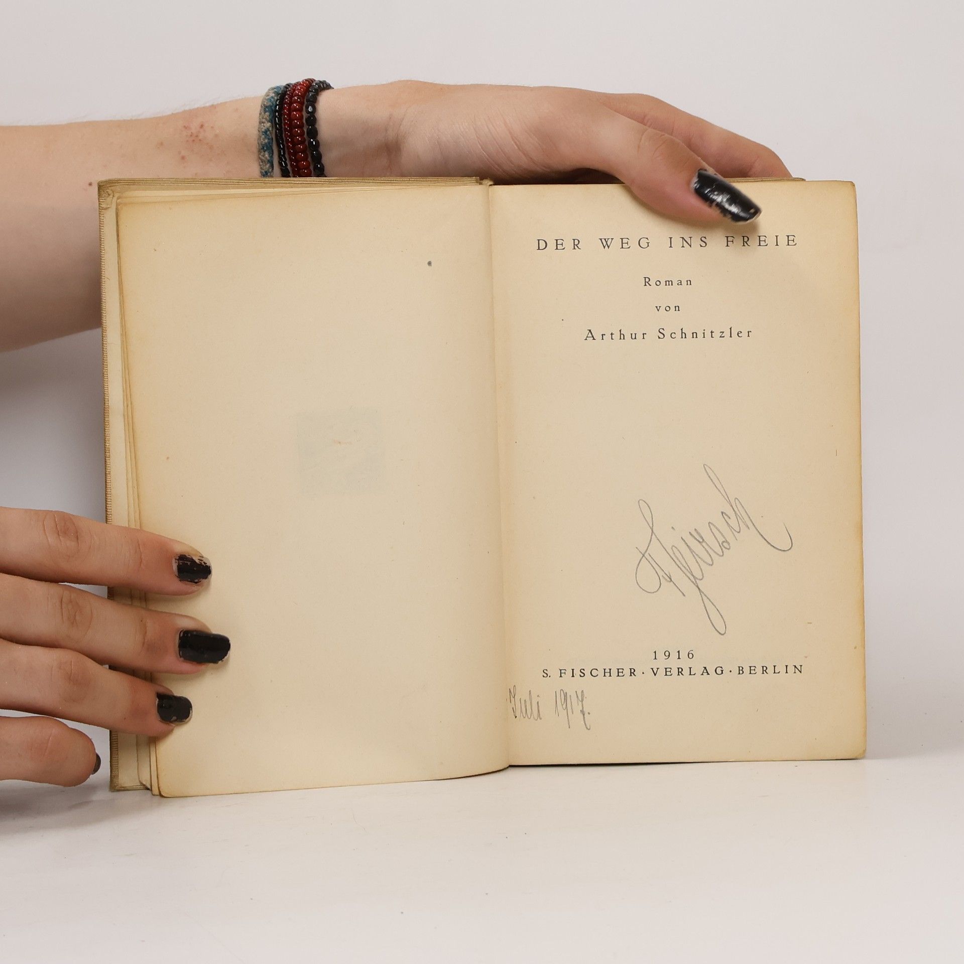 Arthur Schnitzler Der Weg ins Freie