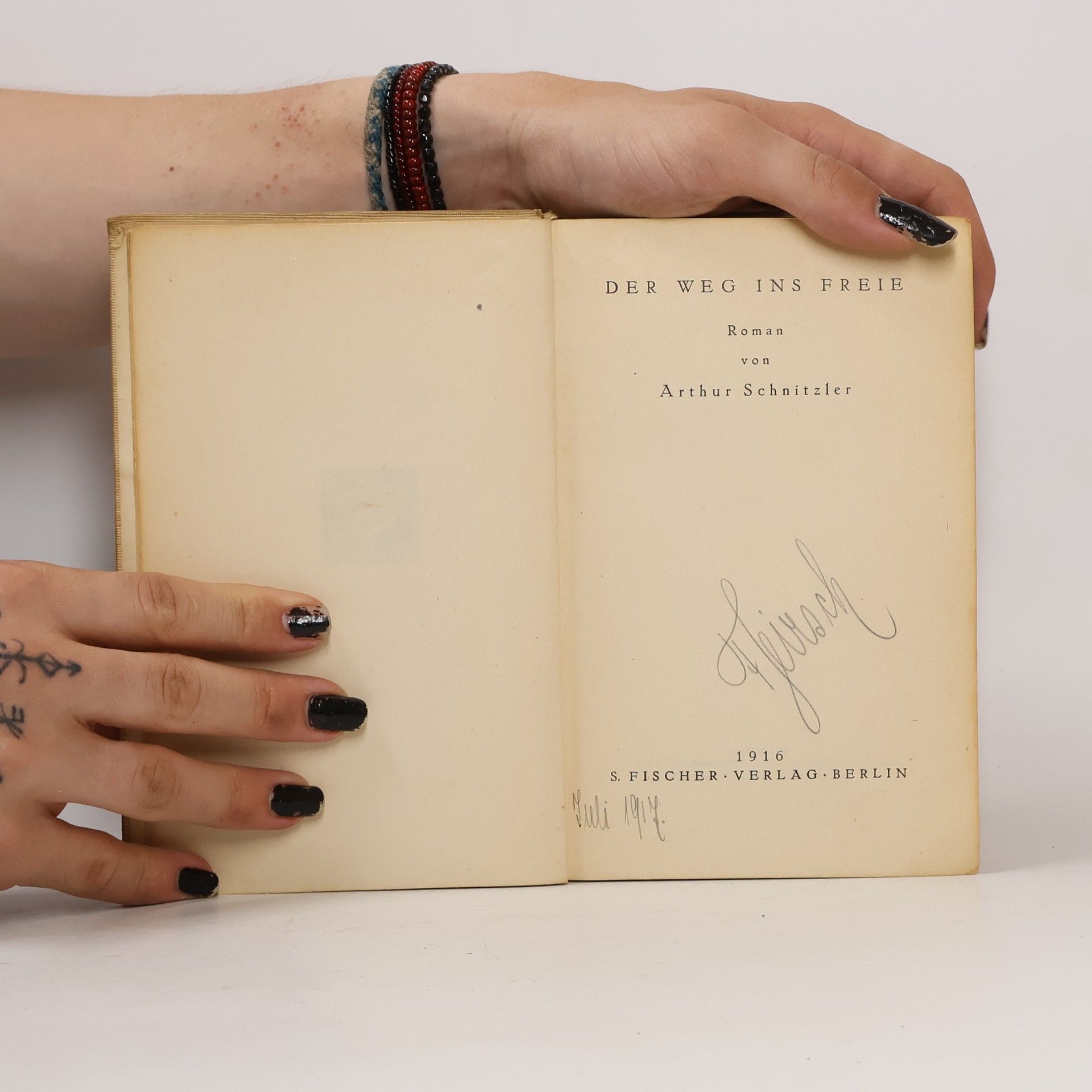 Arthur Schnitzler Der Weg ins Freie