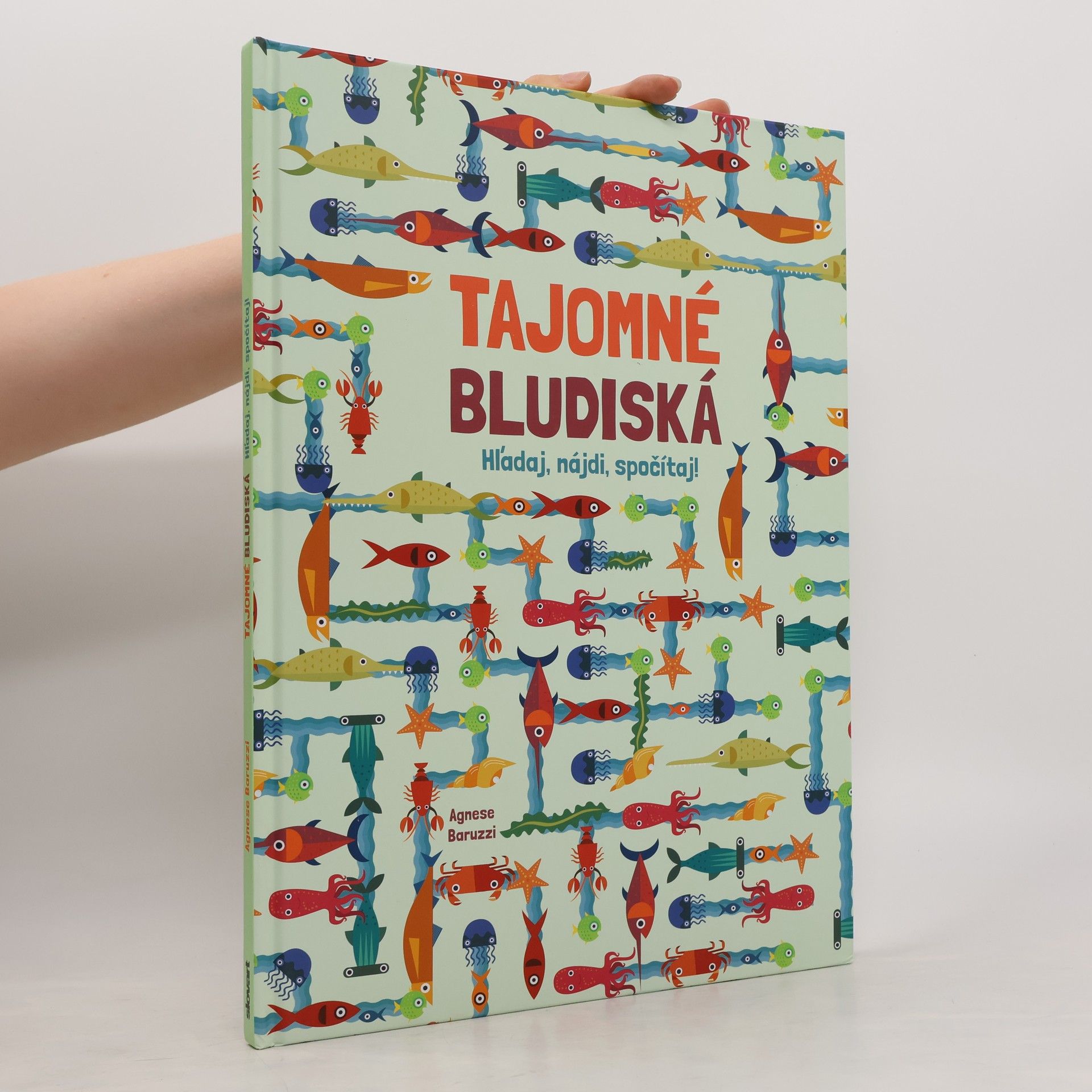 Agnese Baruzzi Tajomné bludiská
