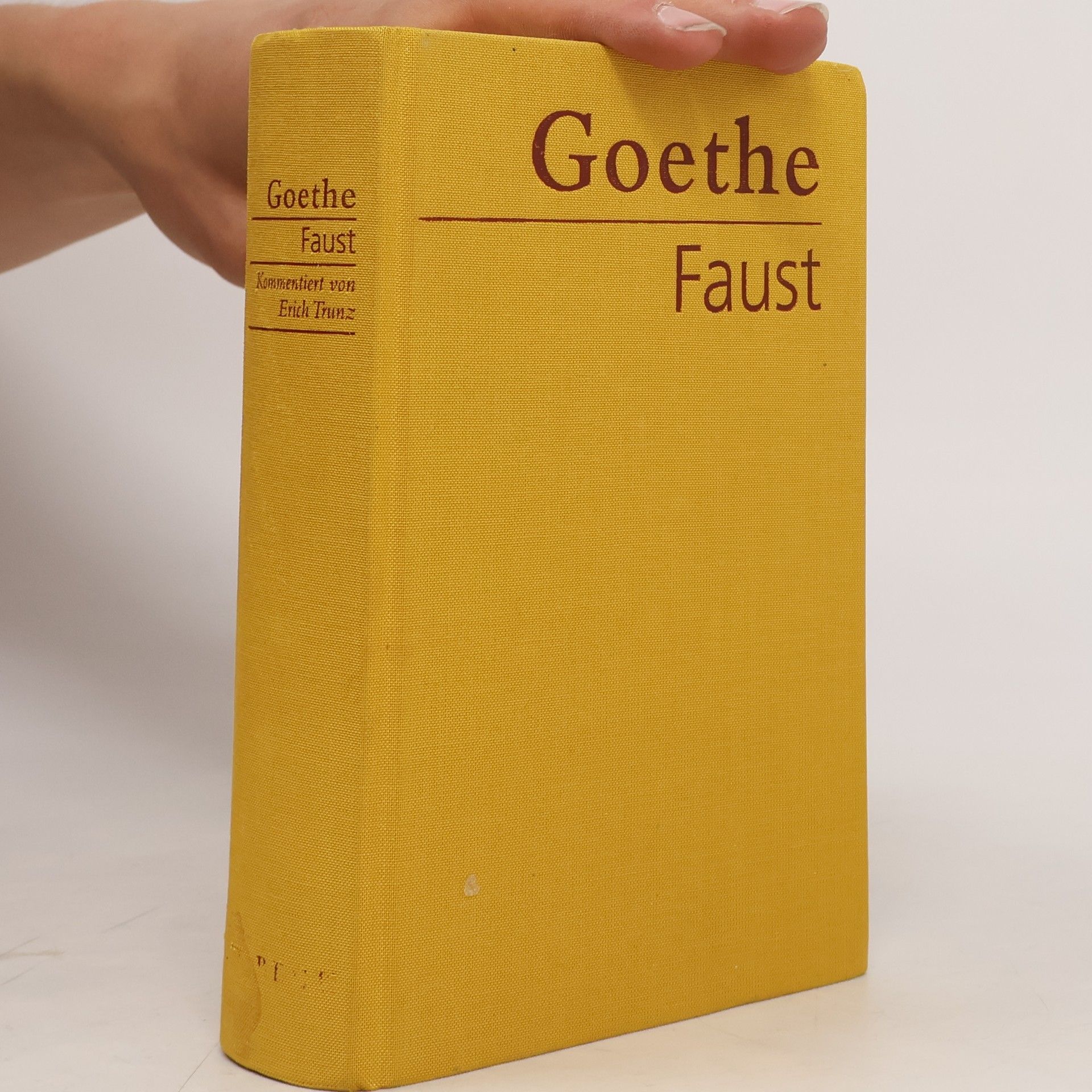 Johann Wolfgang von Goethe Faust