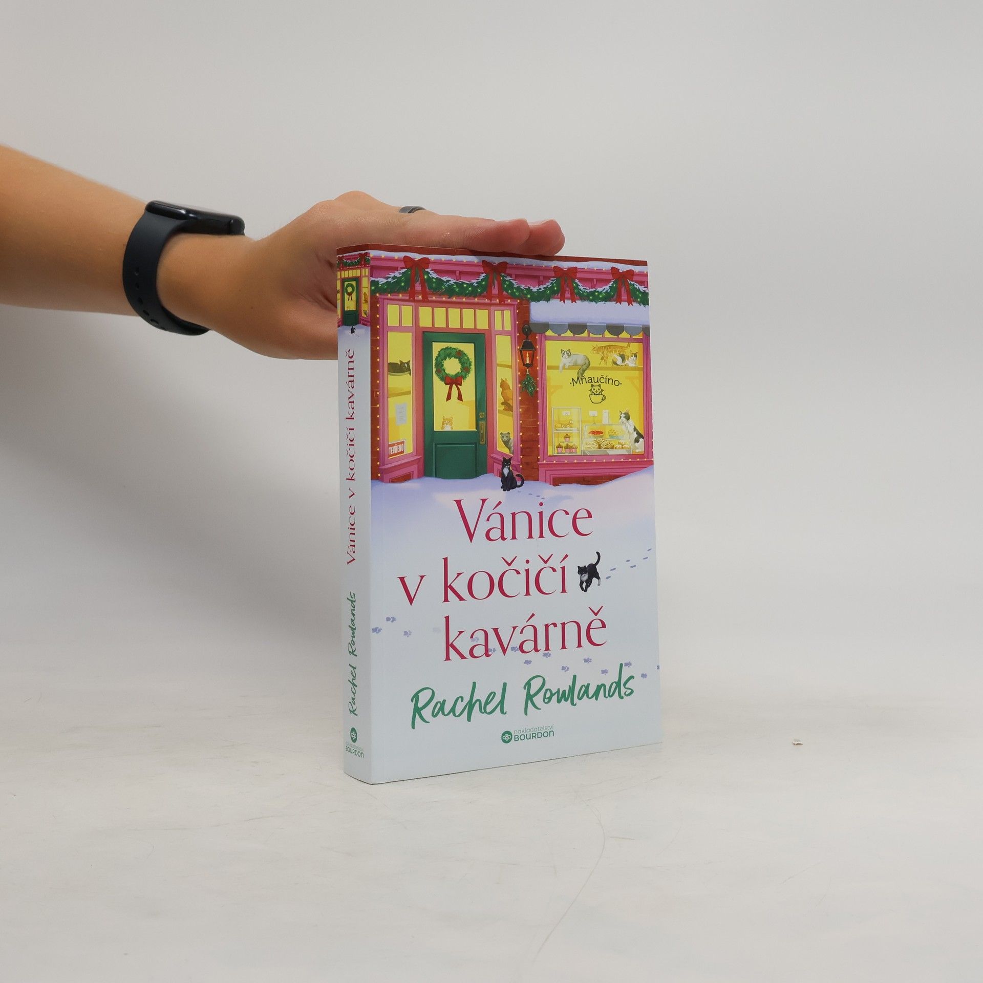 Rachel Rowlands Vánice v kočičí kavárně