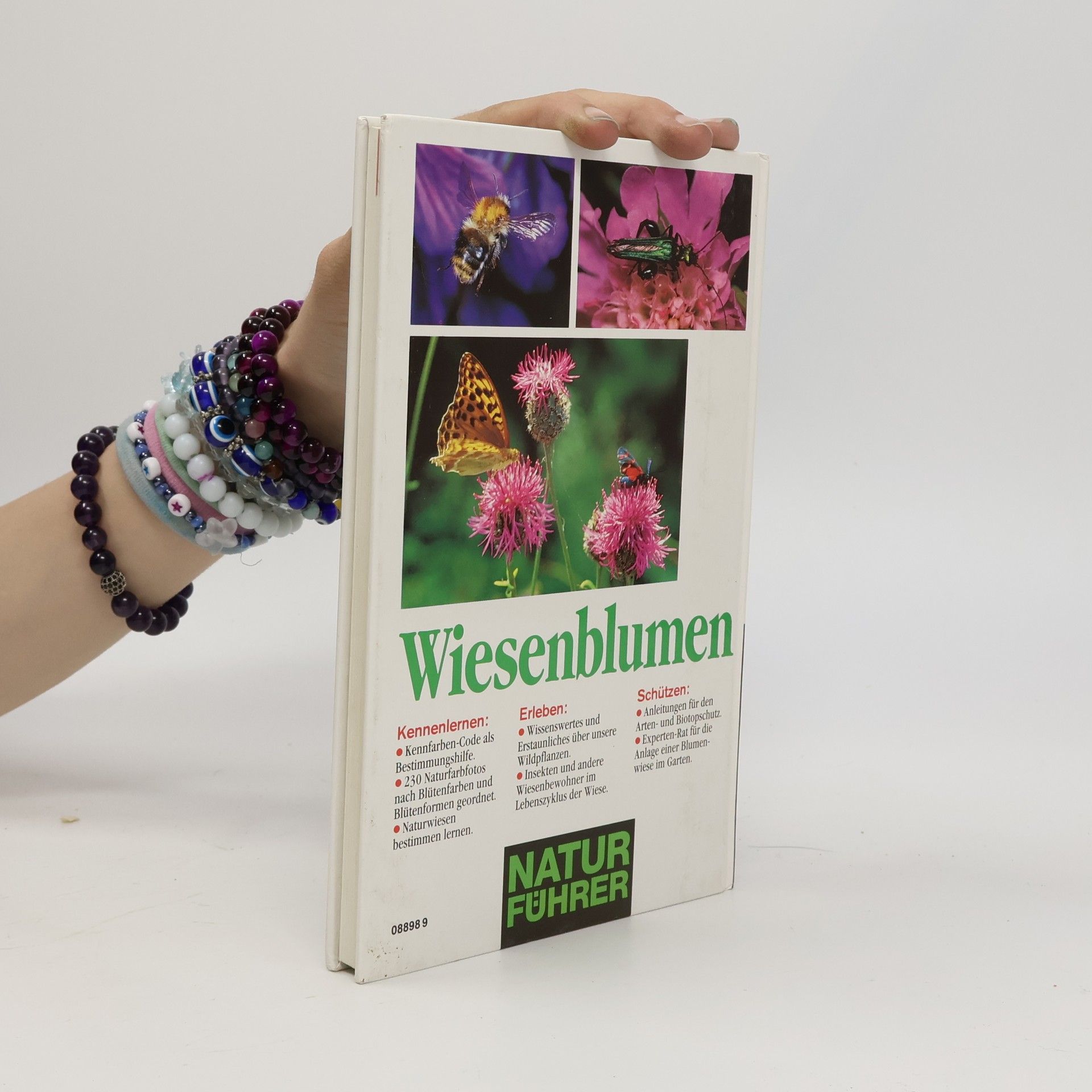 Bruno P. Kremer Wiesenblumen
