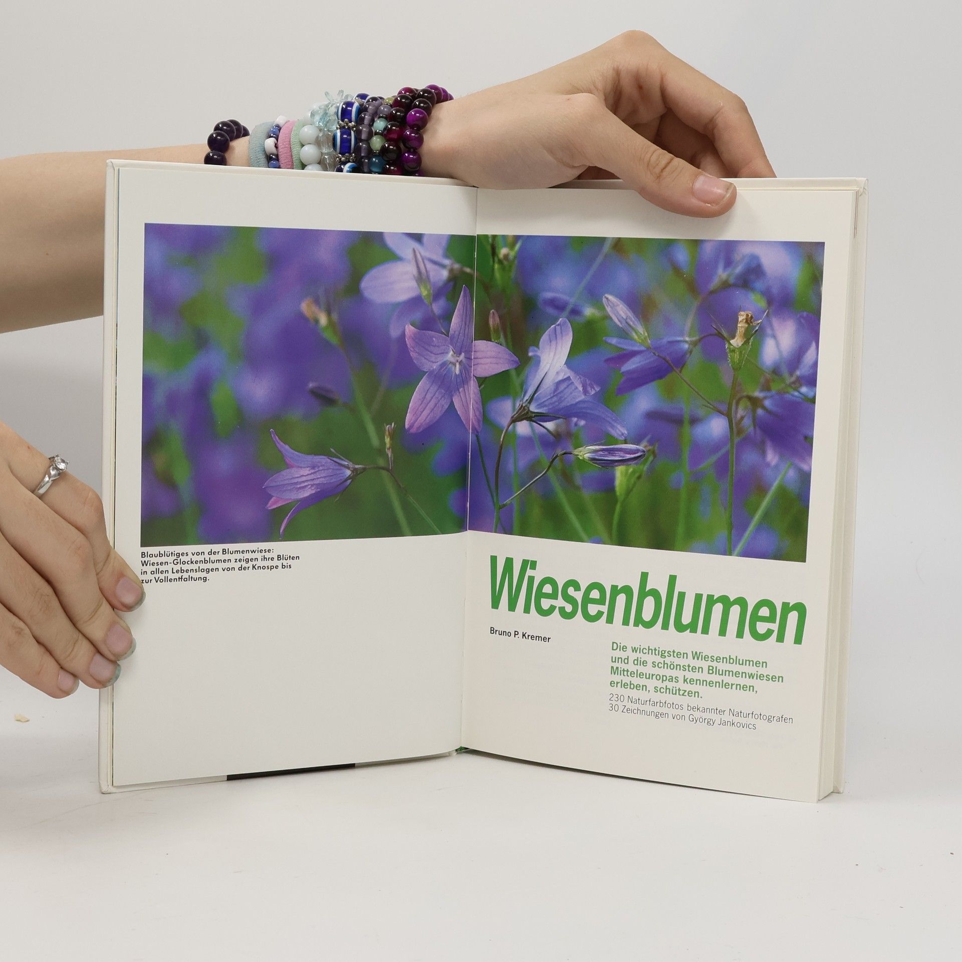 Bruno P. Kremer Wiesenblumen