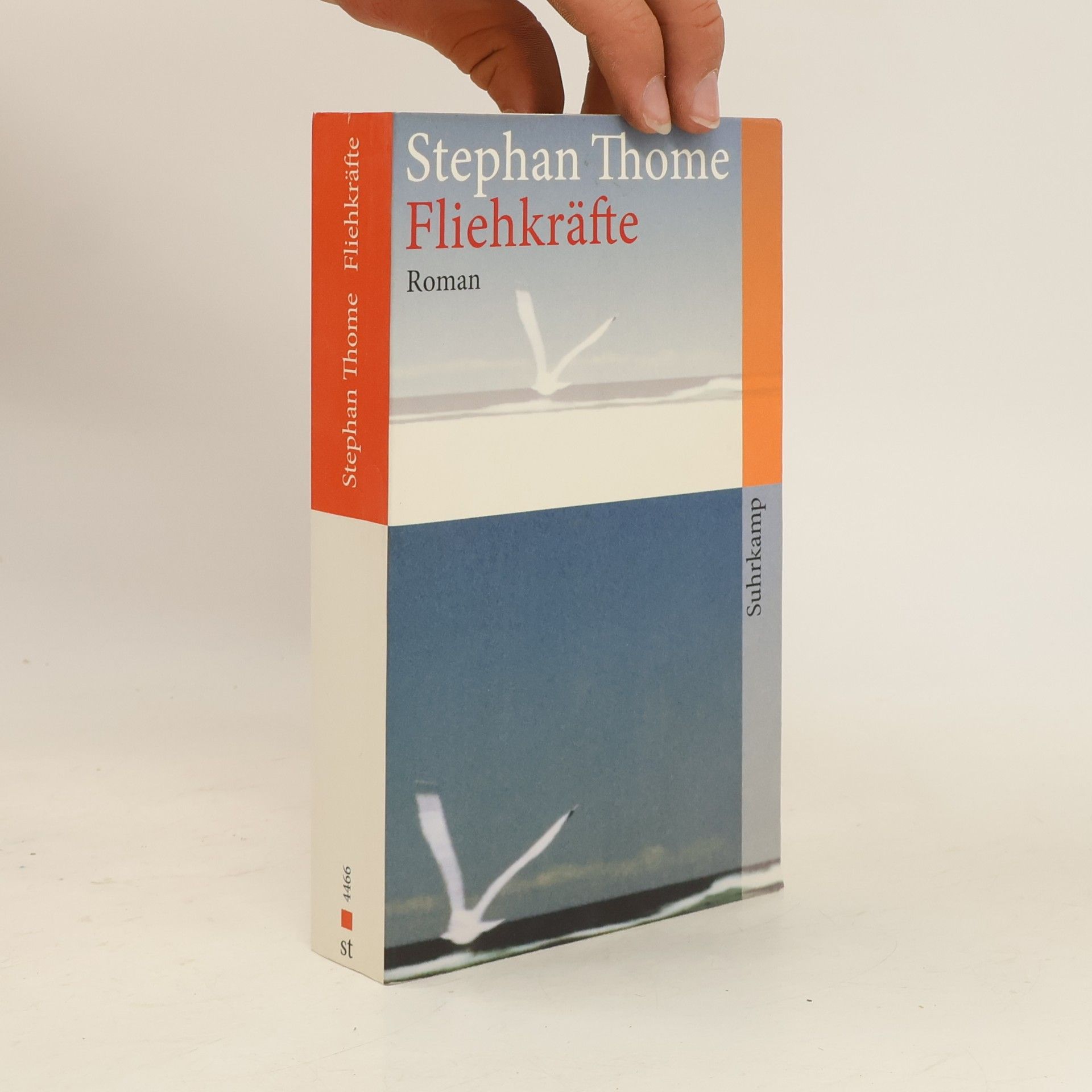 Stephan Thome Fliehkräfte