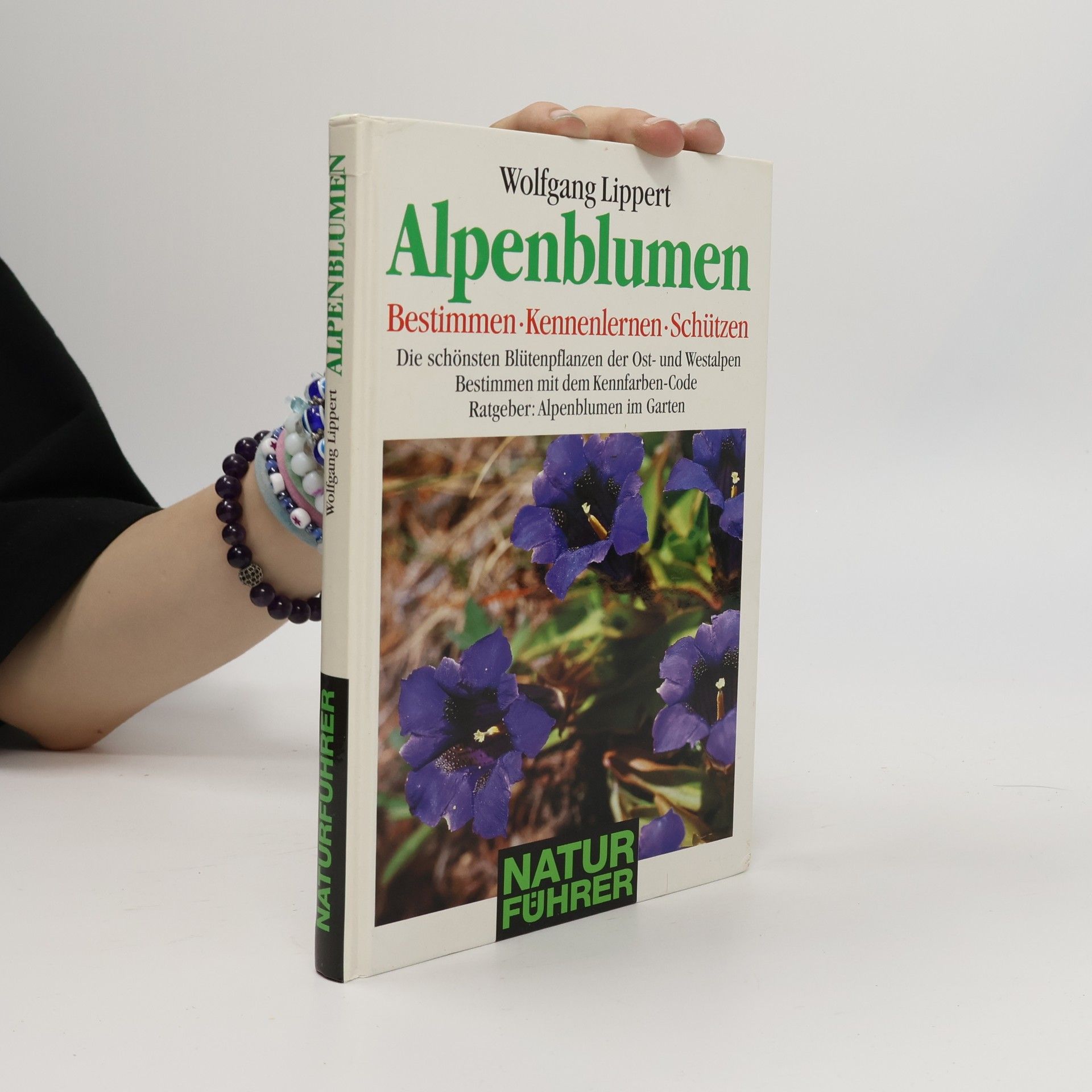 Wolfgang Lippert Alpenblumen