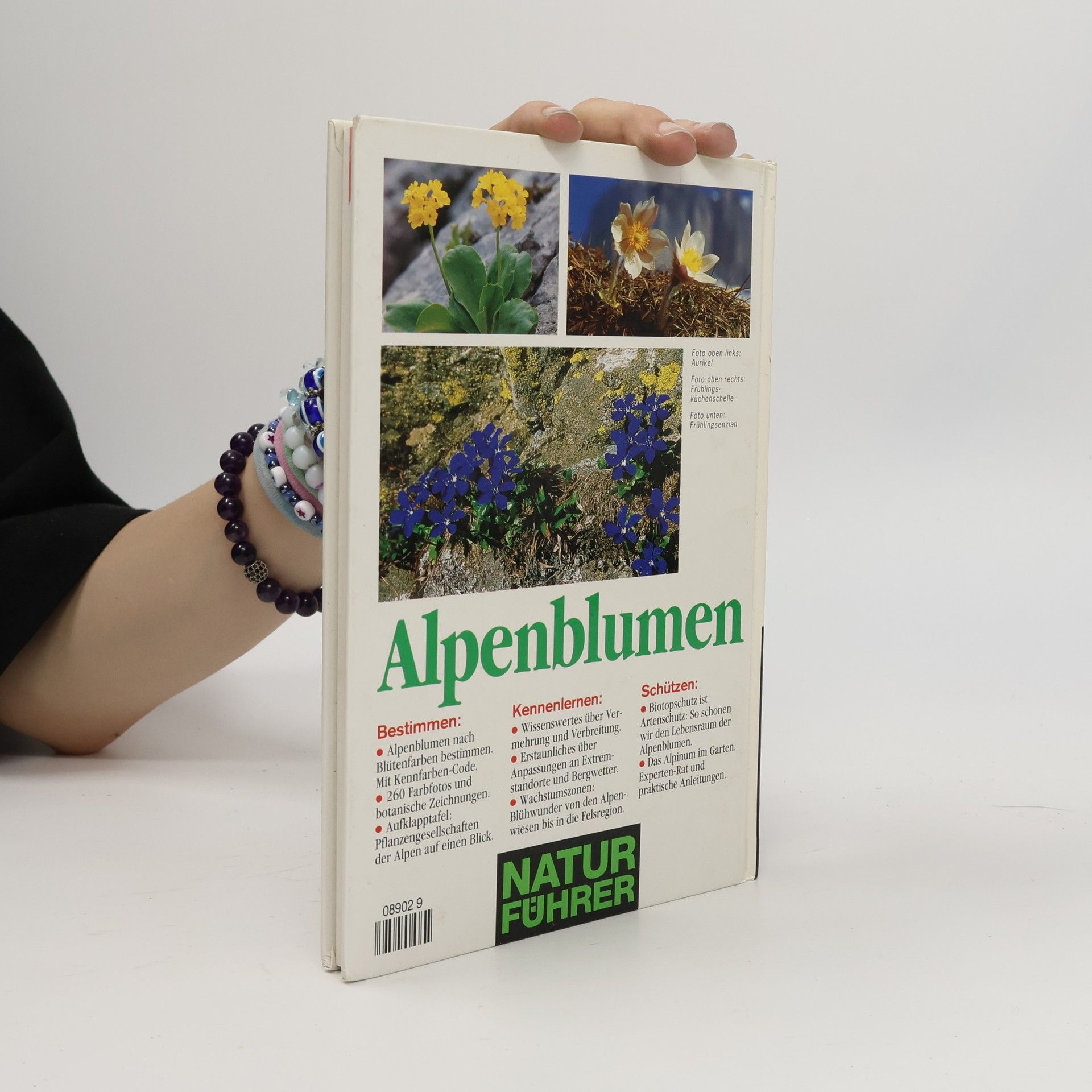 Wolfgang Lippert Alpenblumen