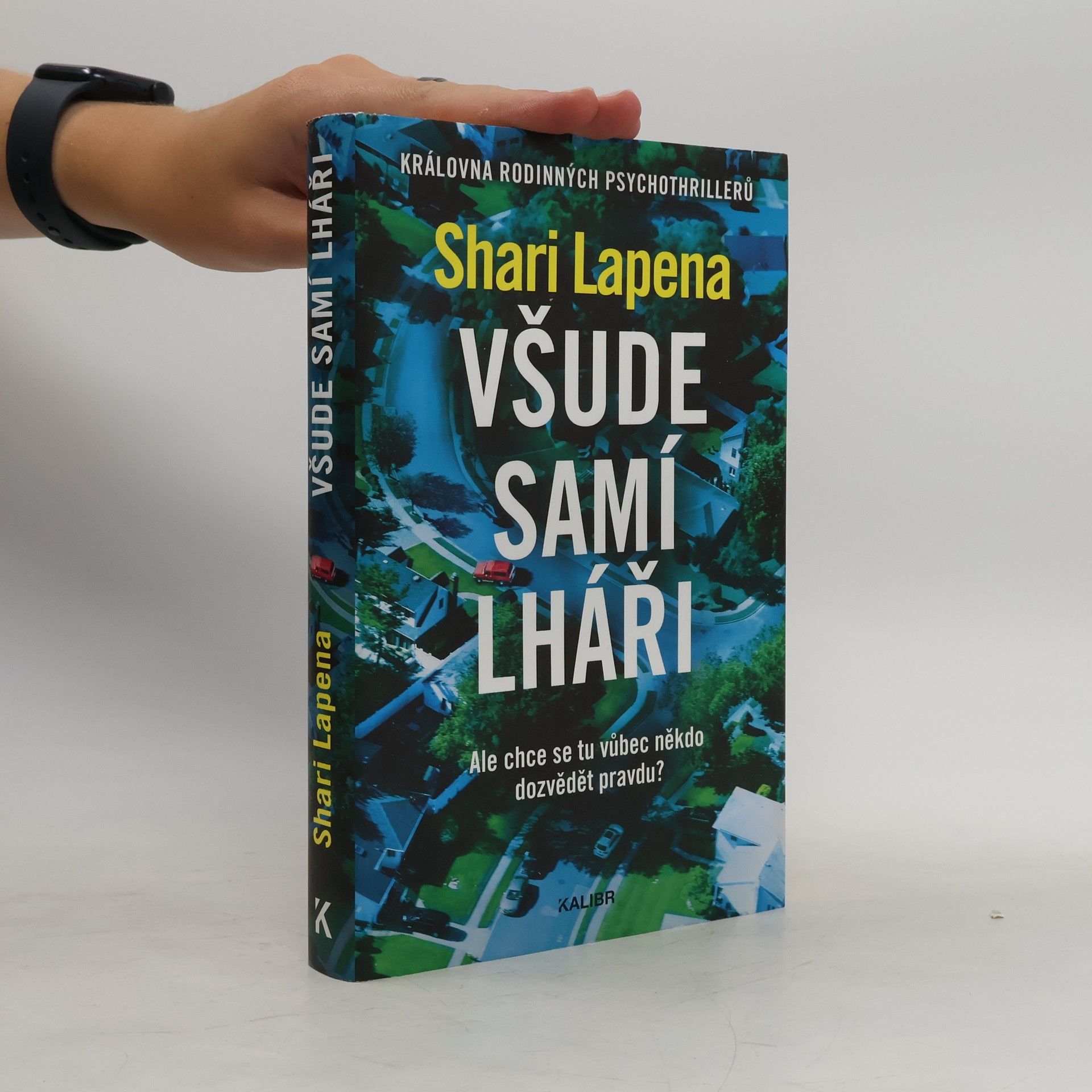 Shari Lapena Všude samí lháři