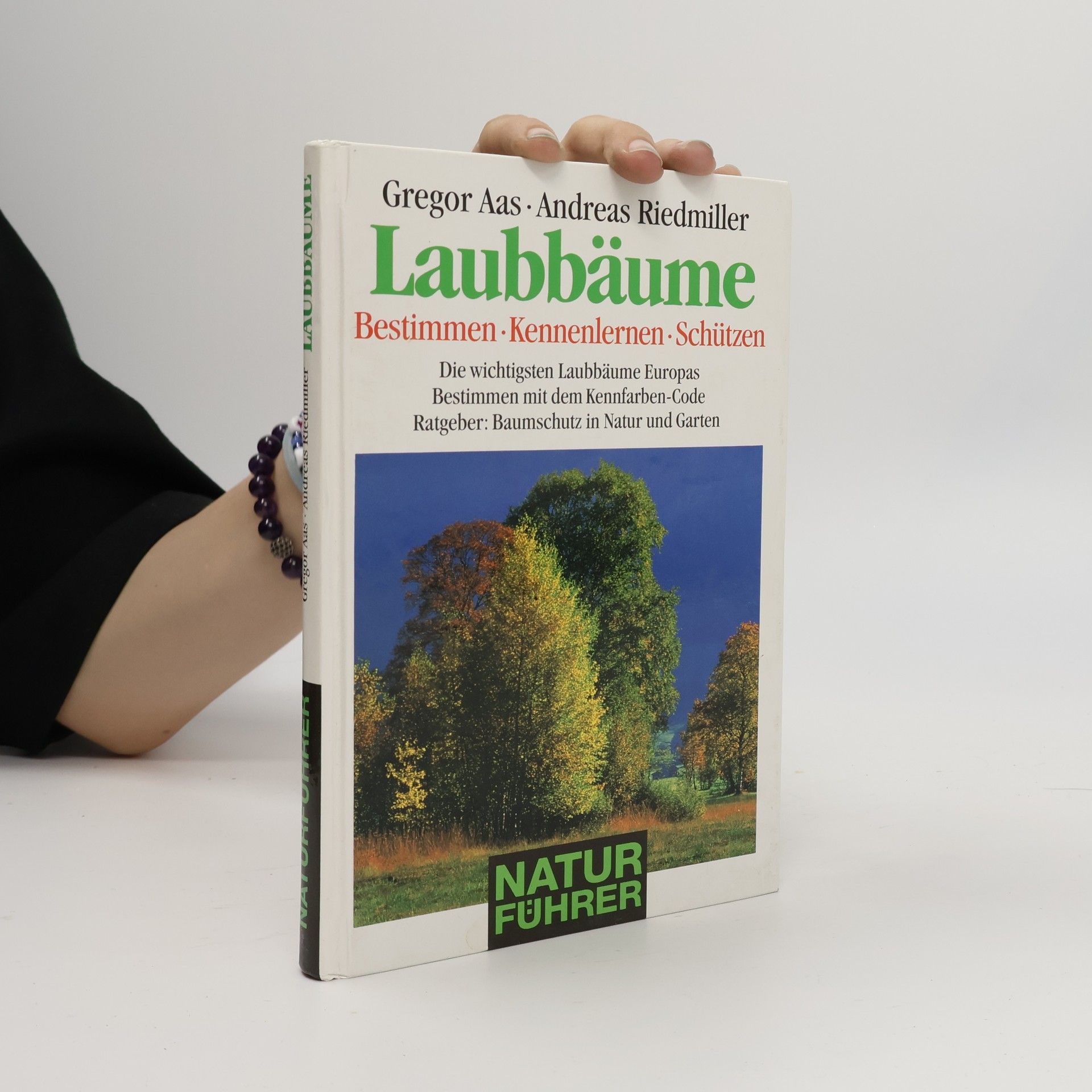 Andreas Riedmiller Laubbäume