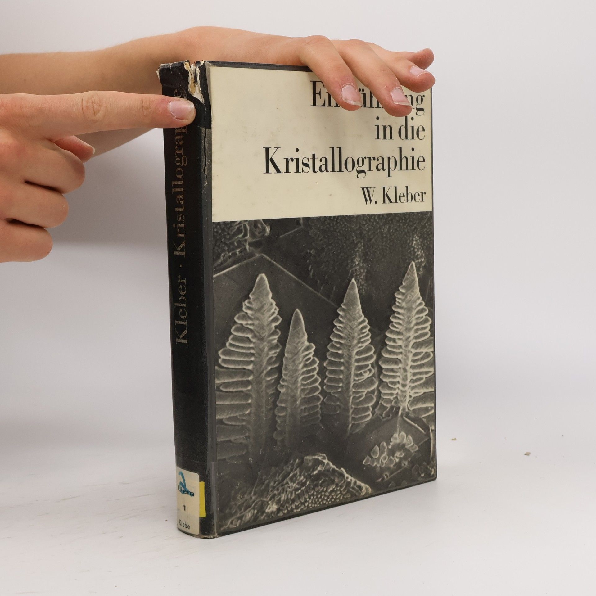 Will Kleber Einführung in die Kristallographie