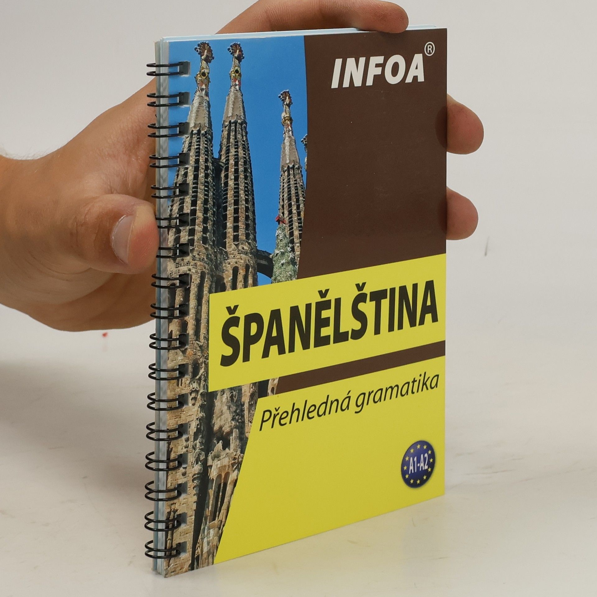 Autorenkollektiv Španělština: přehledná gramatika