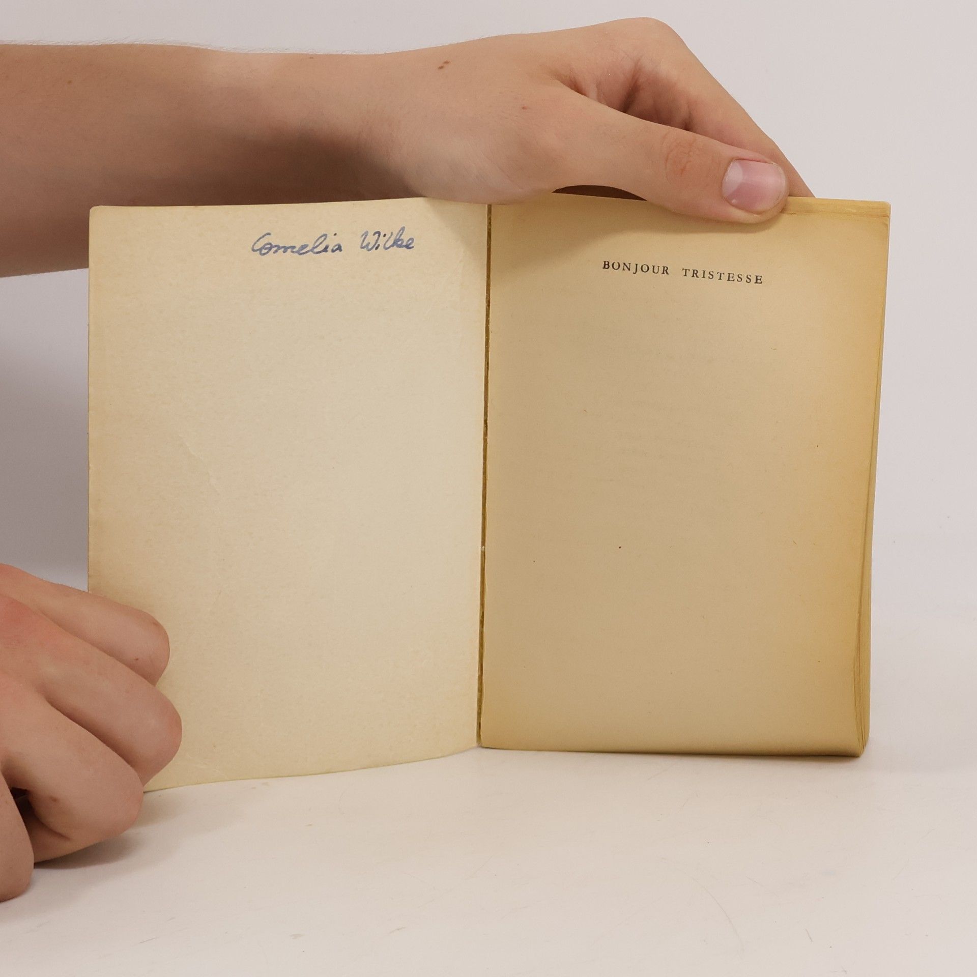 Françoise Sagan Bonjour Tristesse