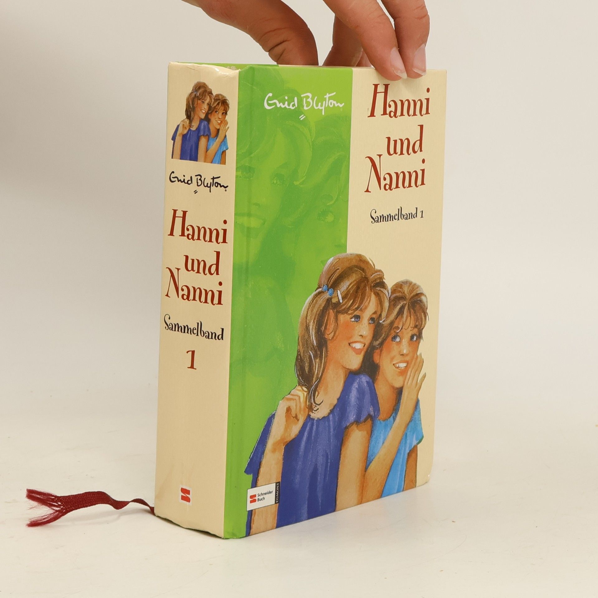 Enid Blyton Hanni und Nanni