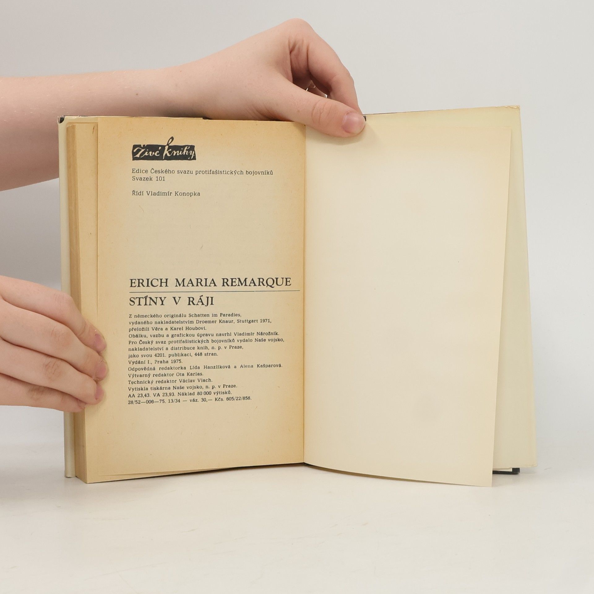 Erich Maria Remarque Stíny v ráji