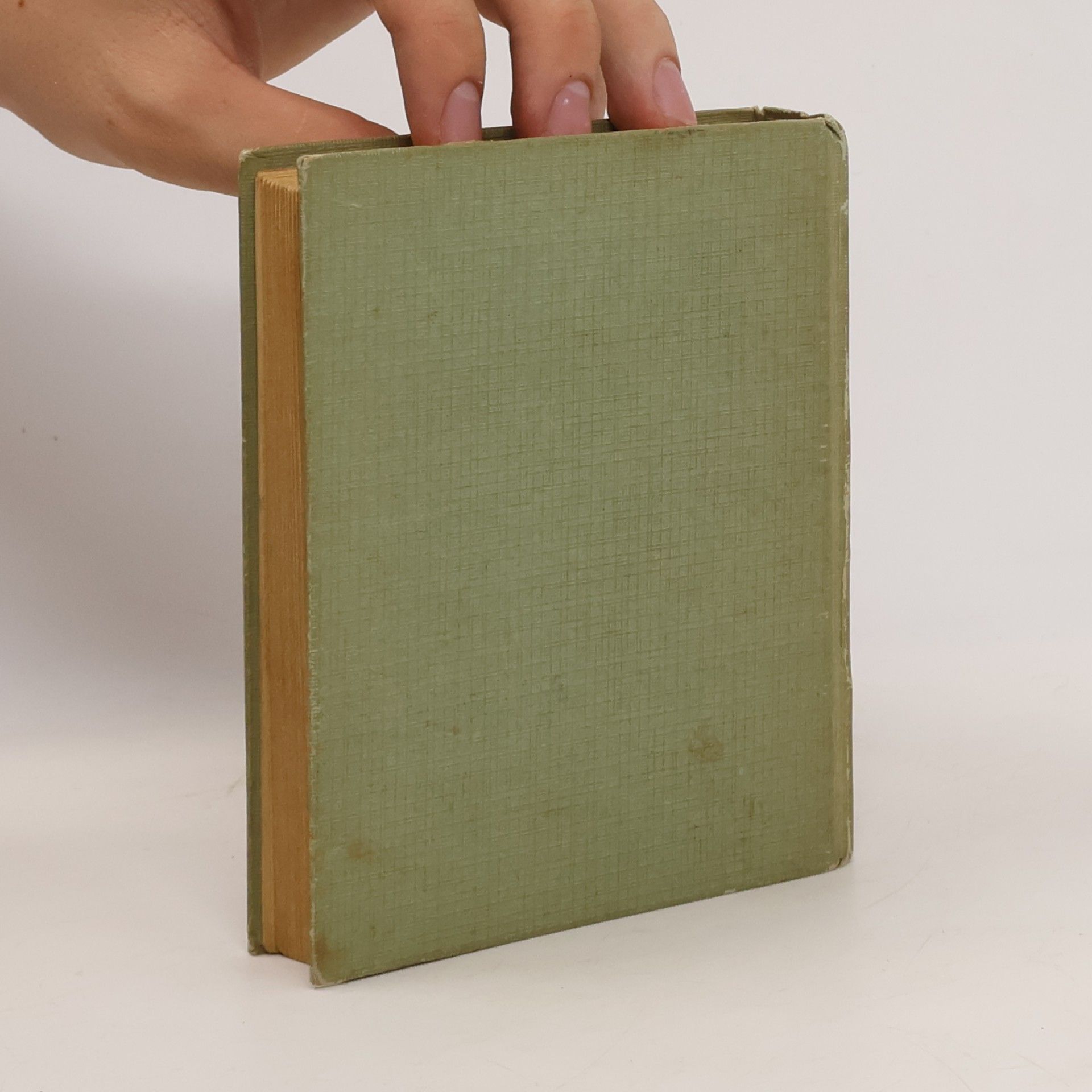 Albert Pfrimmer Deutsch-Französisches und Französisch-Deutsches Wörterbuch