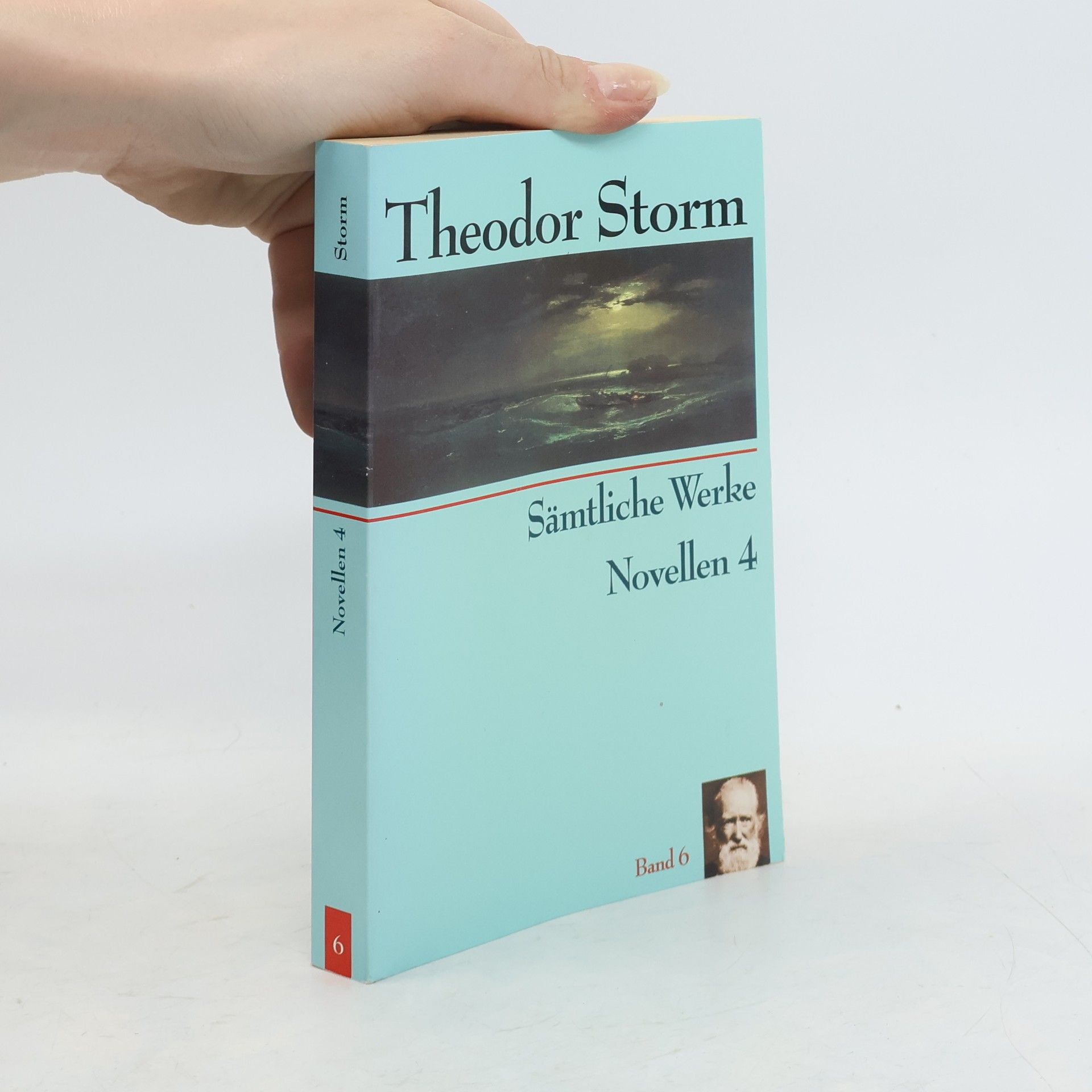 Theodor Storm Sämtliche Werke. Band 4