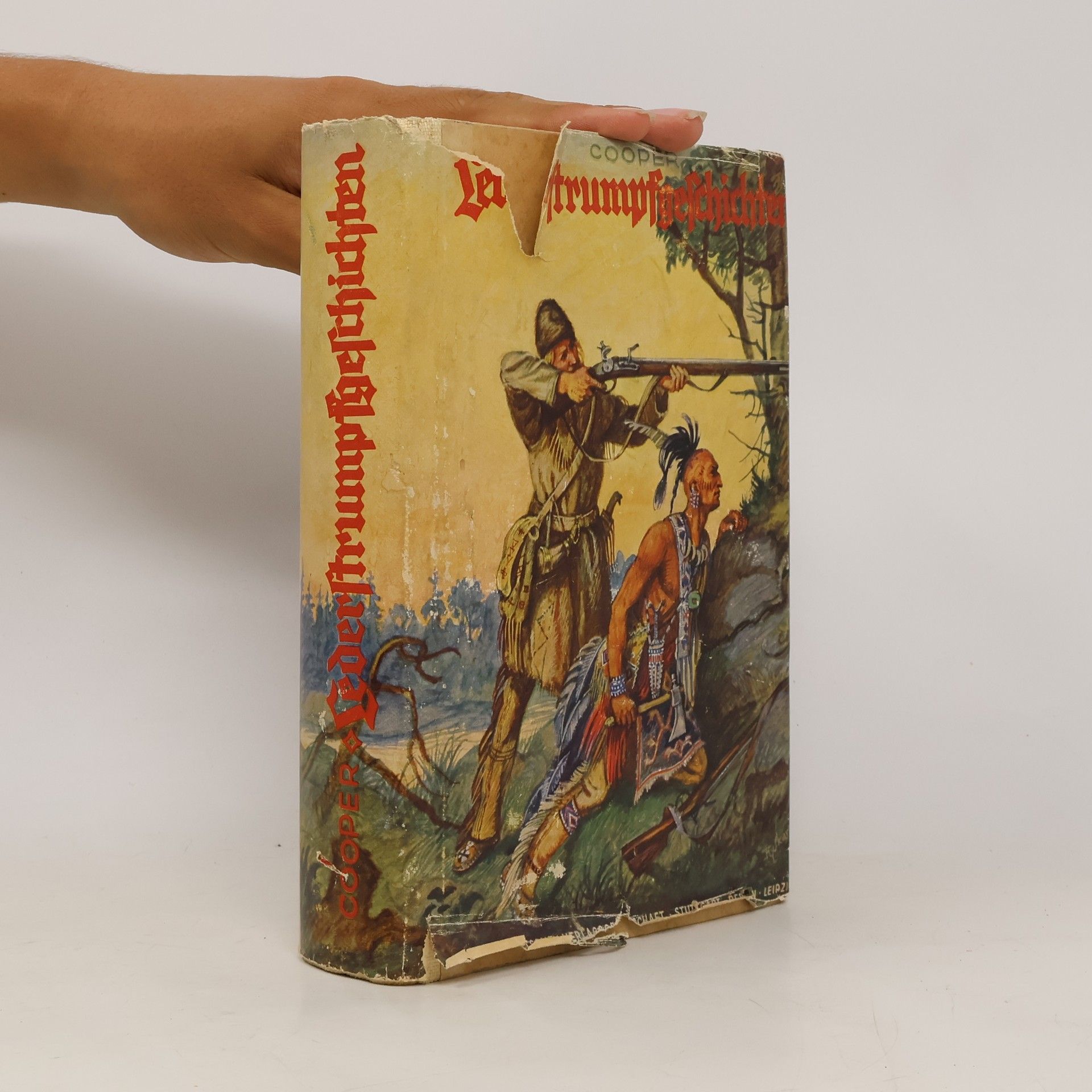 J. F. Cooper Lederstrumpf Geschichten