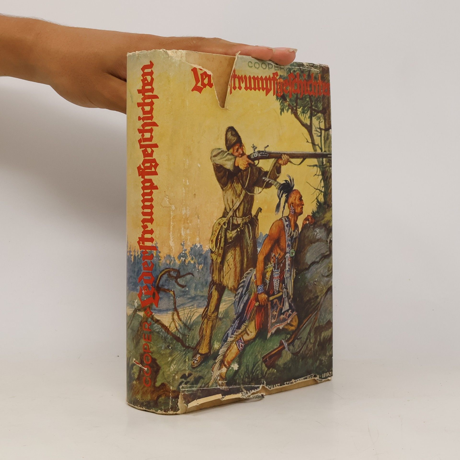 J. F. Cooper Lederstrumpf Geschichten