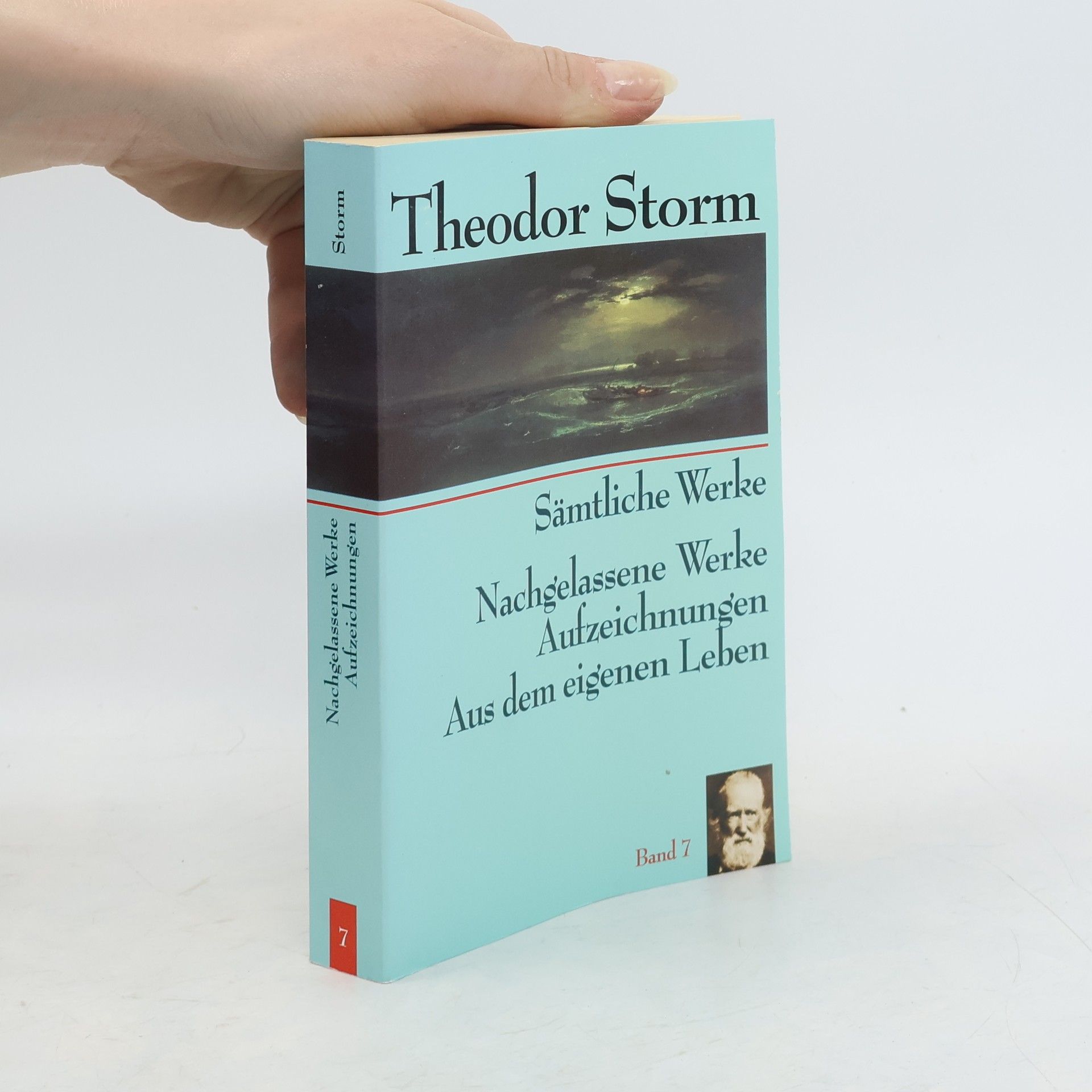 Theodor Storm Sämtliche Werke. Band 7