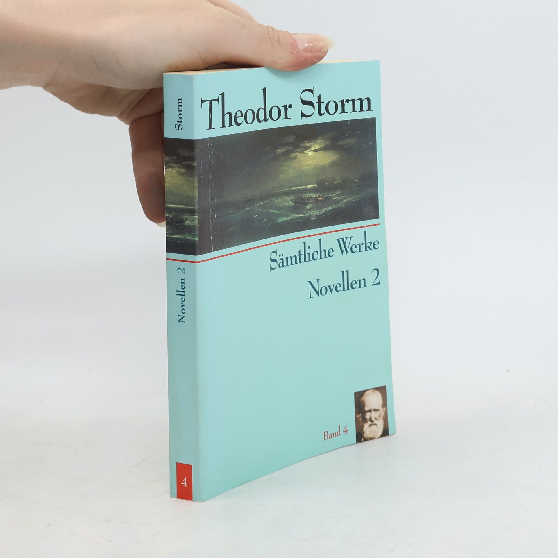 Theodor Storm Sämtliche Werke. Band 4