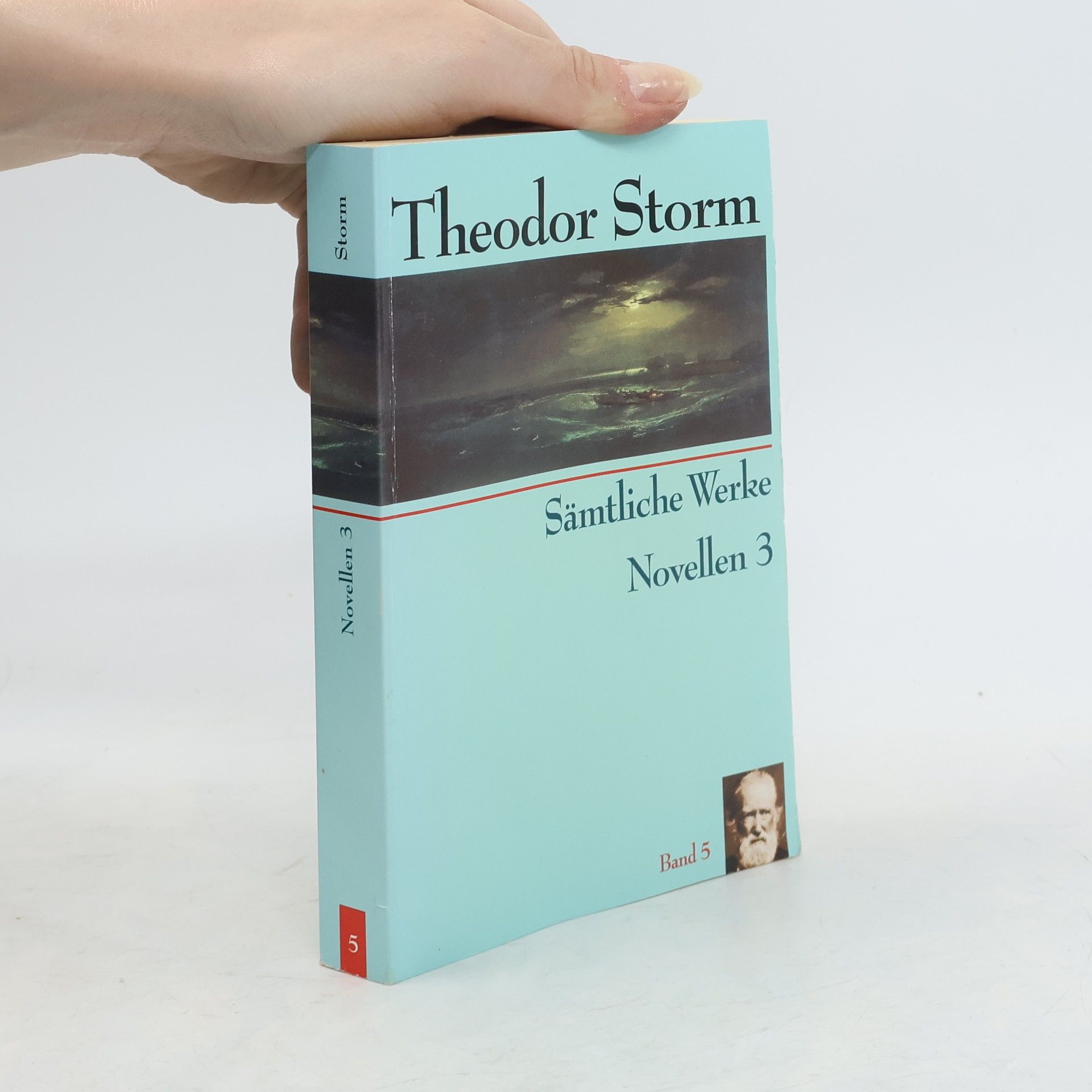 Theodor Storm Sämtliche Werke. Novellen 3, Band 5