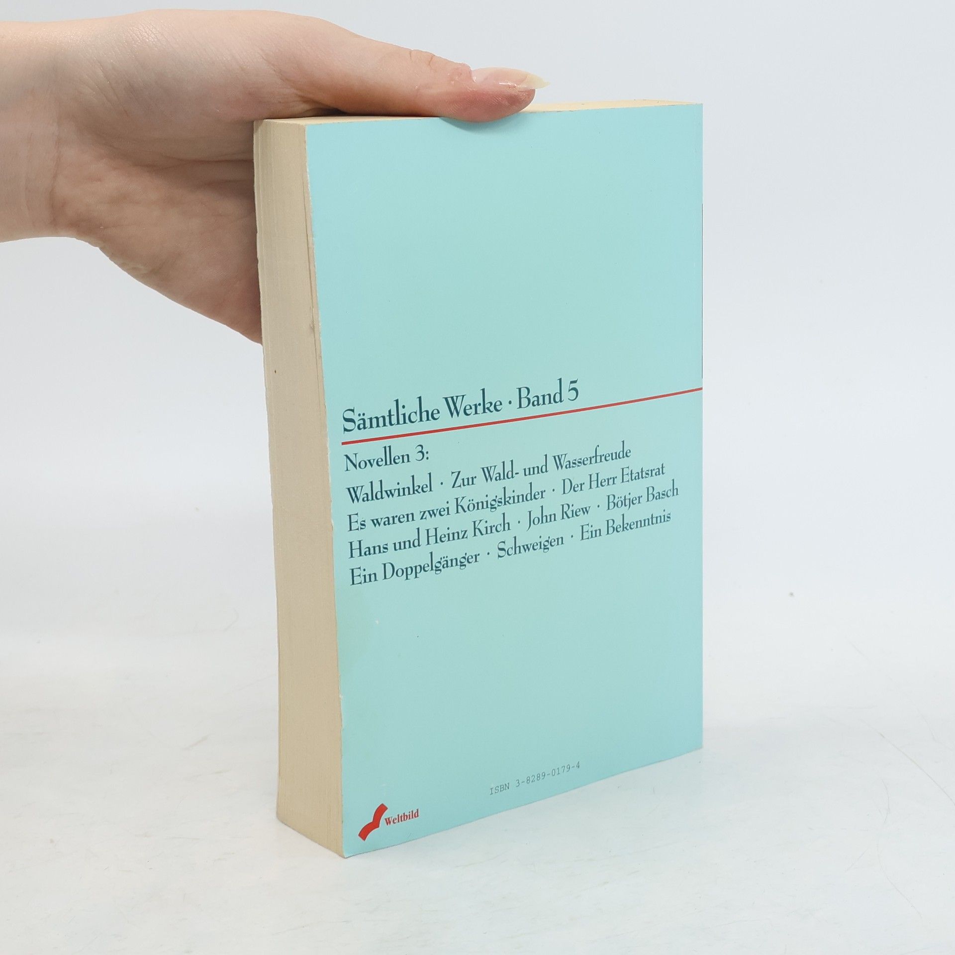 Theodor Storm Sämtliche Werke. Novellen 3, Band 5